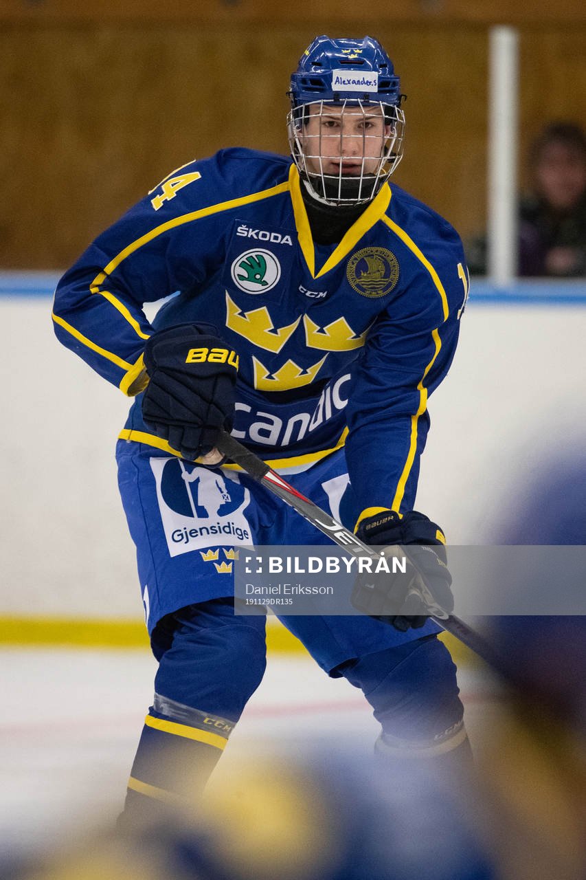 Sveriges Alexander Suzdalev