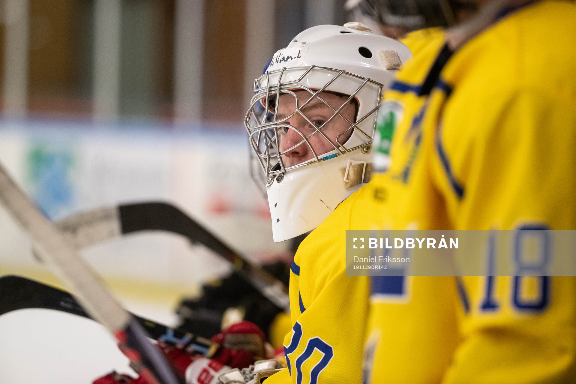 Sveriges målvakt William Larsson