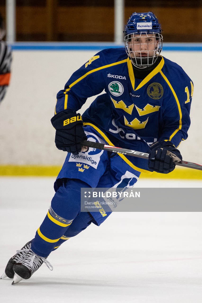 Sveriges Alexander Suzdalev
