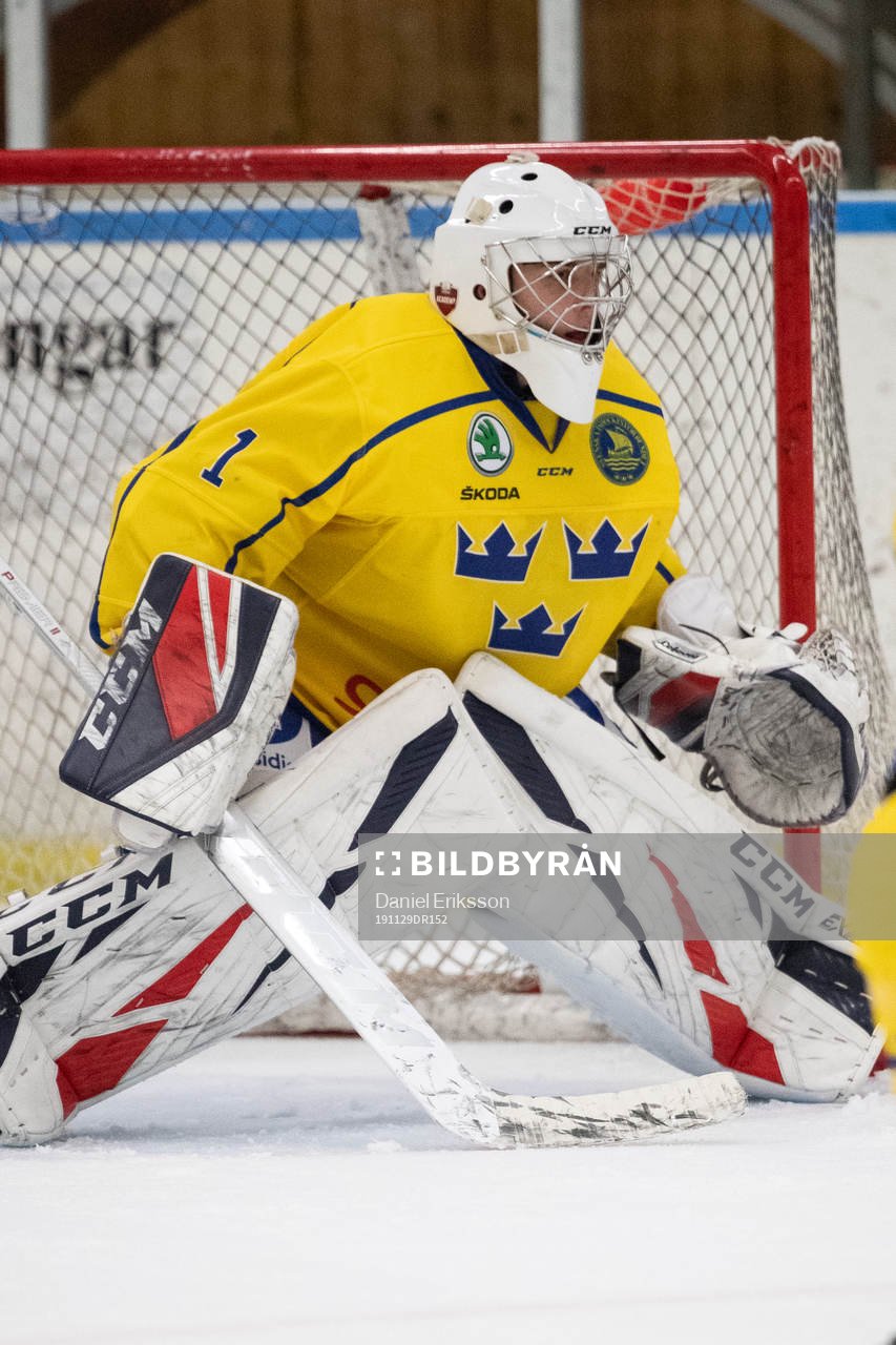 Sveriges målvakt Hugo Hävelid