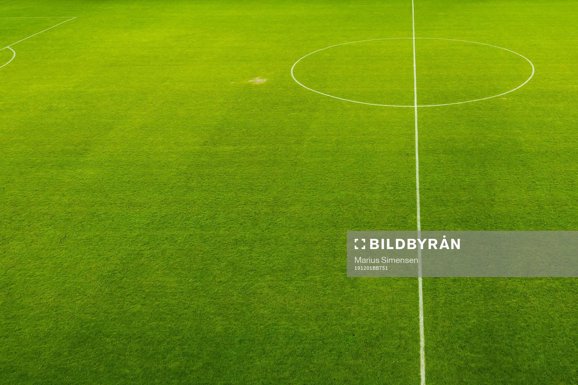 Quality of the grass at Brann Stadion