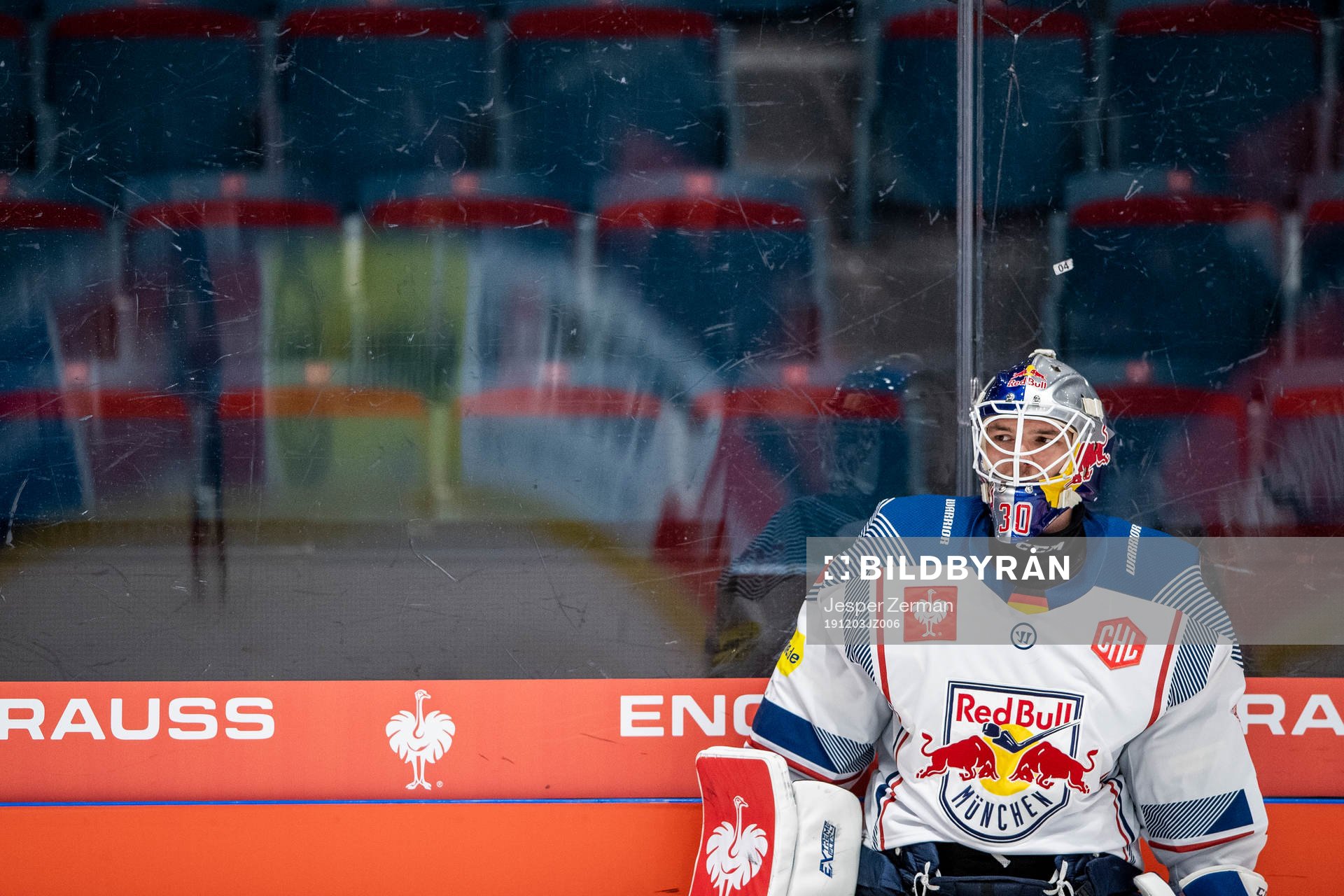 goalkeeper Daniel Fiessinger of Red Bull Munich