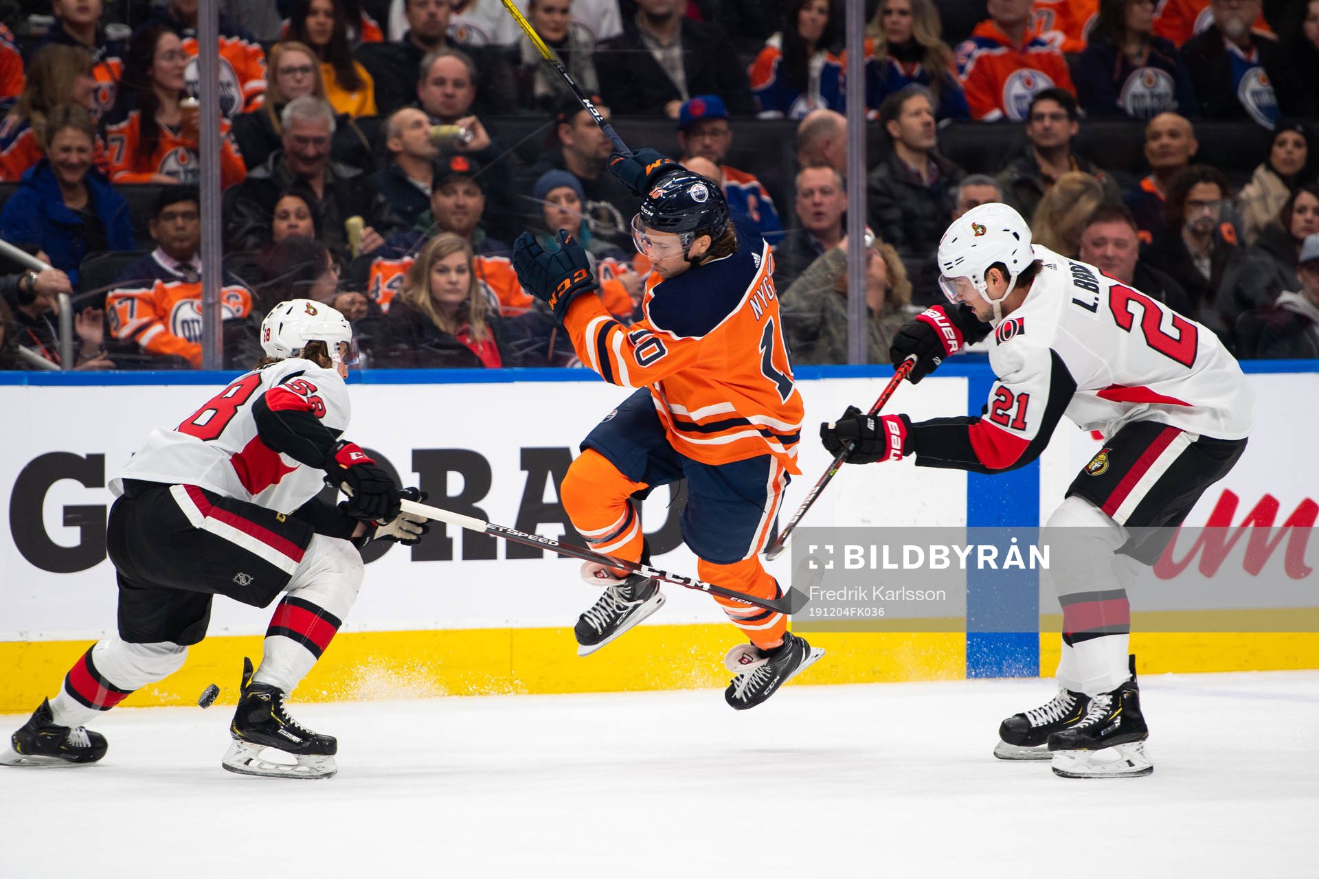 Maxime Lajoie of the Ottawa Senators, Joakim Nygard of the