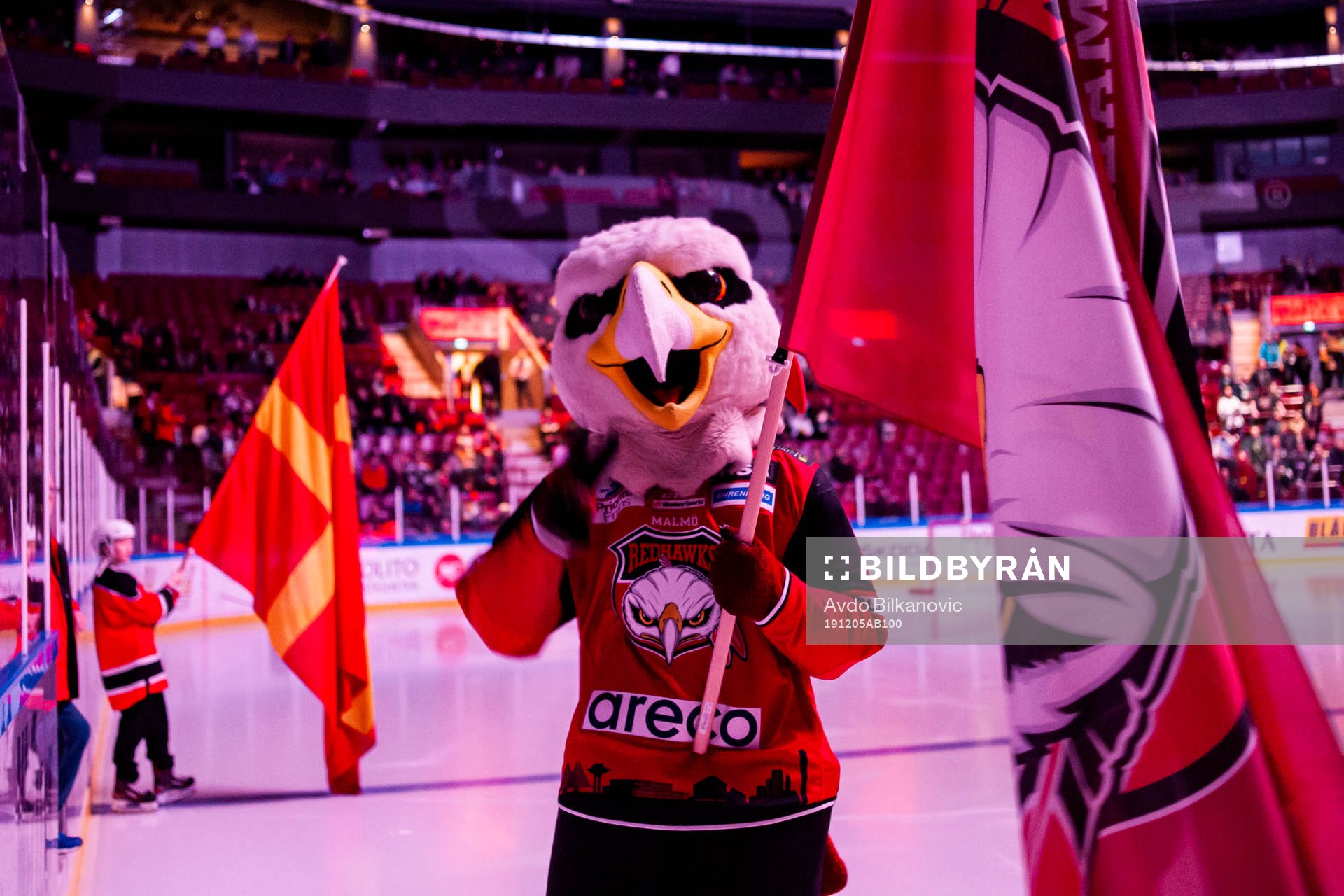 Malmö Redhawks maskot