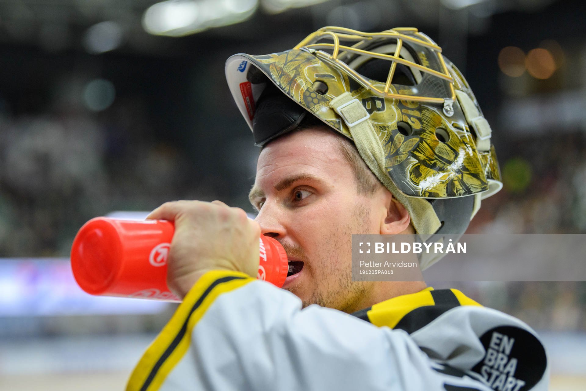 Brynäs målvakt Joacim Eriksson