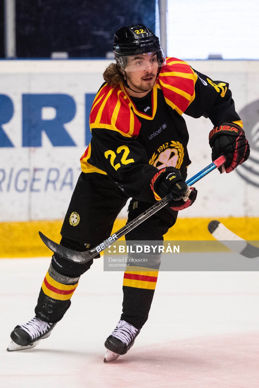 Brynäs Adam Brodecki