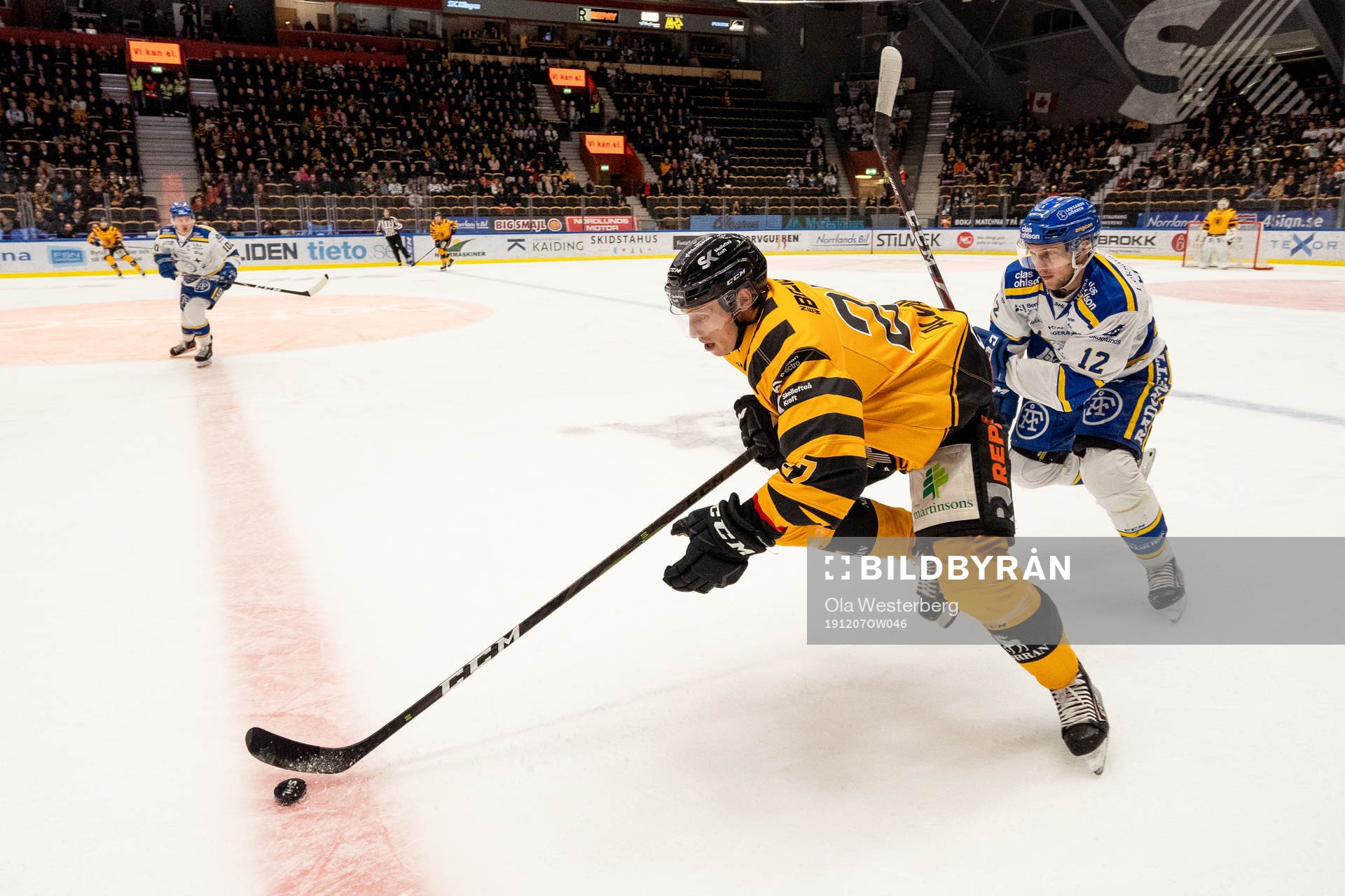 Skellefteås Robin Alvarez
