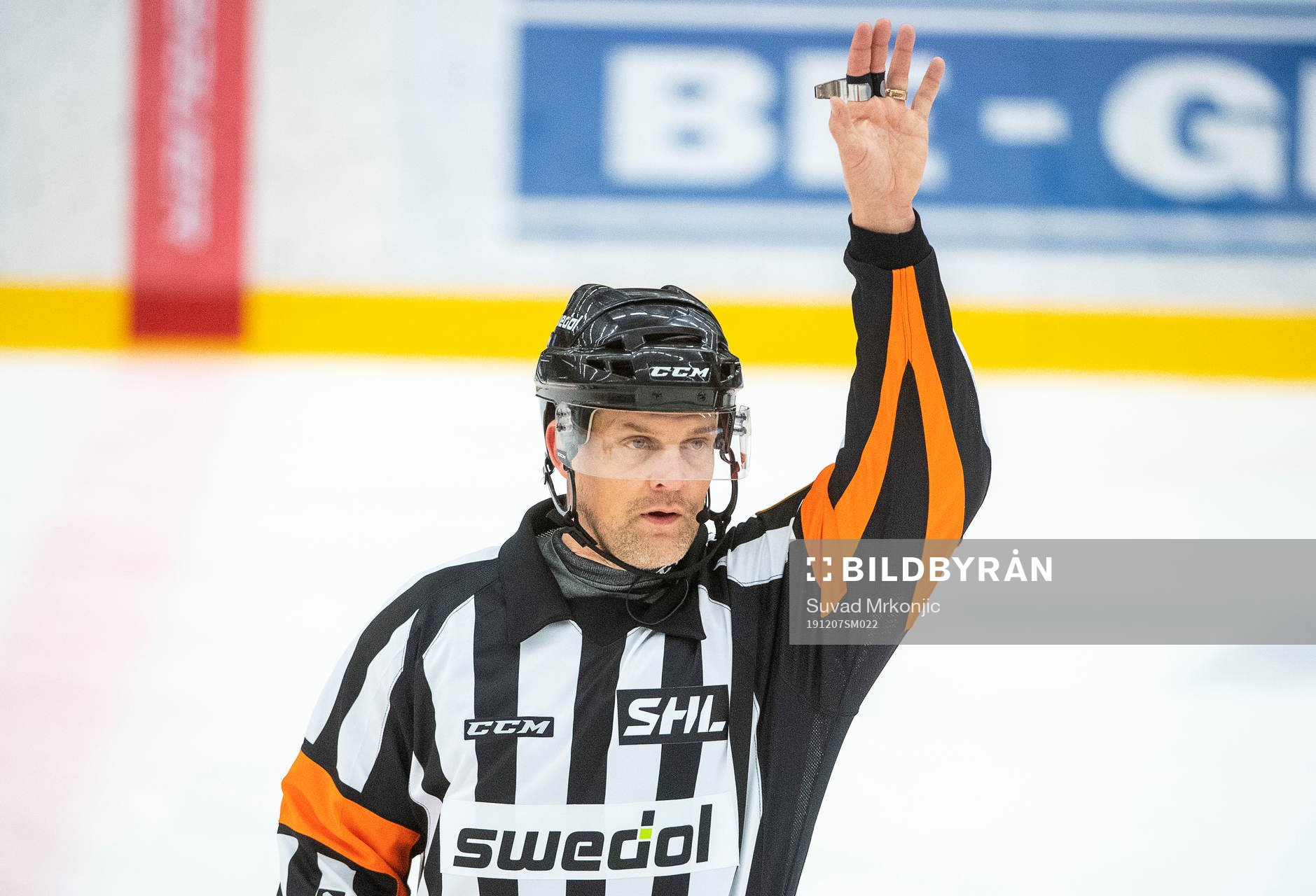 Domare Mikael Nord
