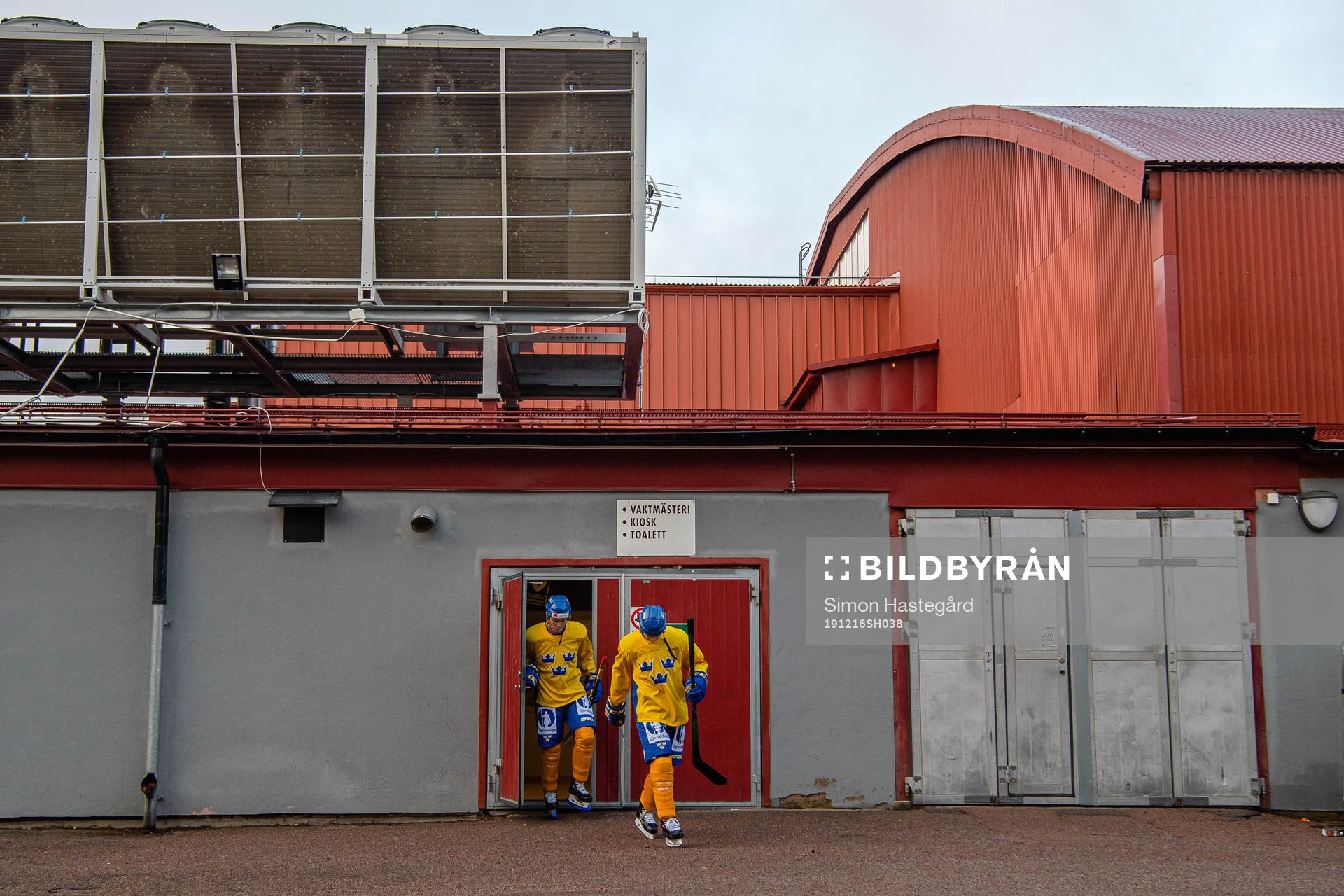Players of Sweden