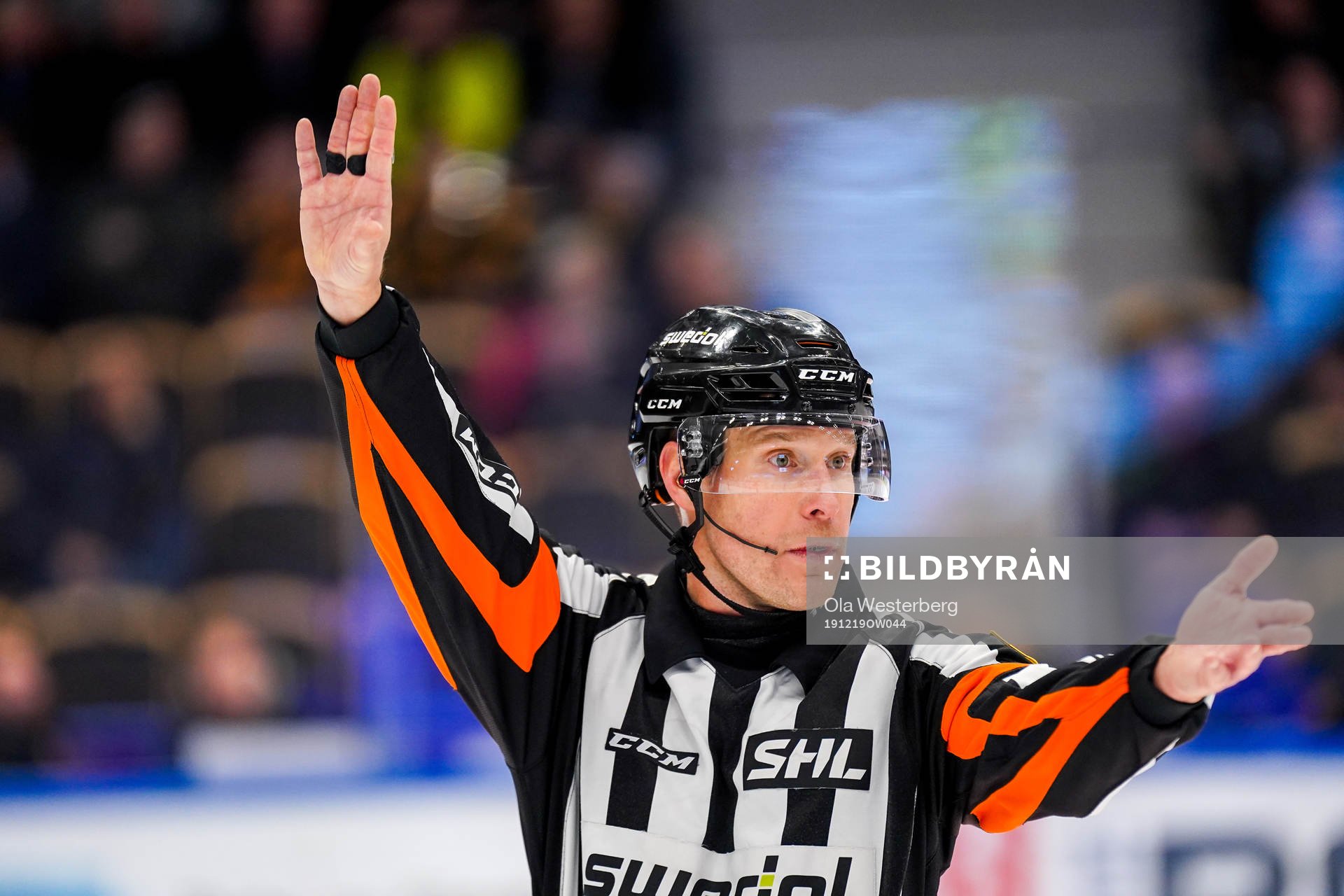 Domare Tobias Björk