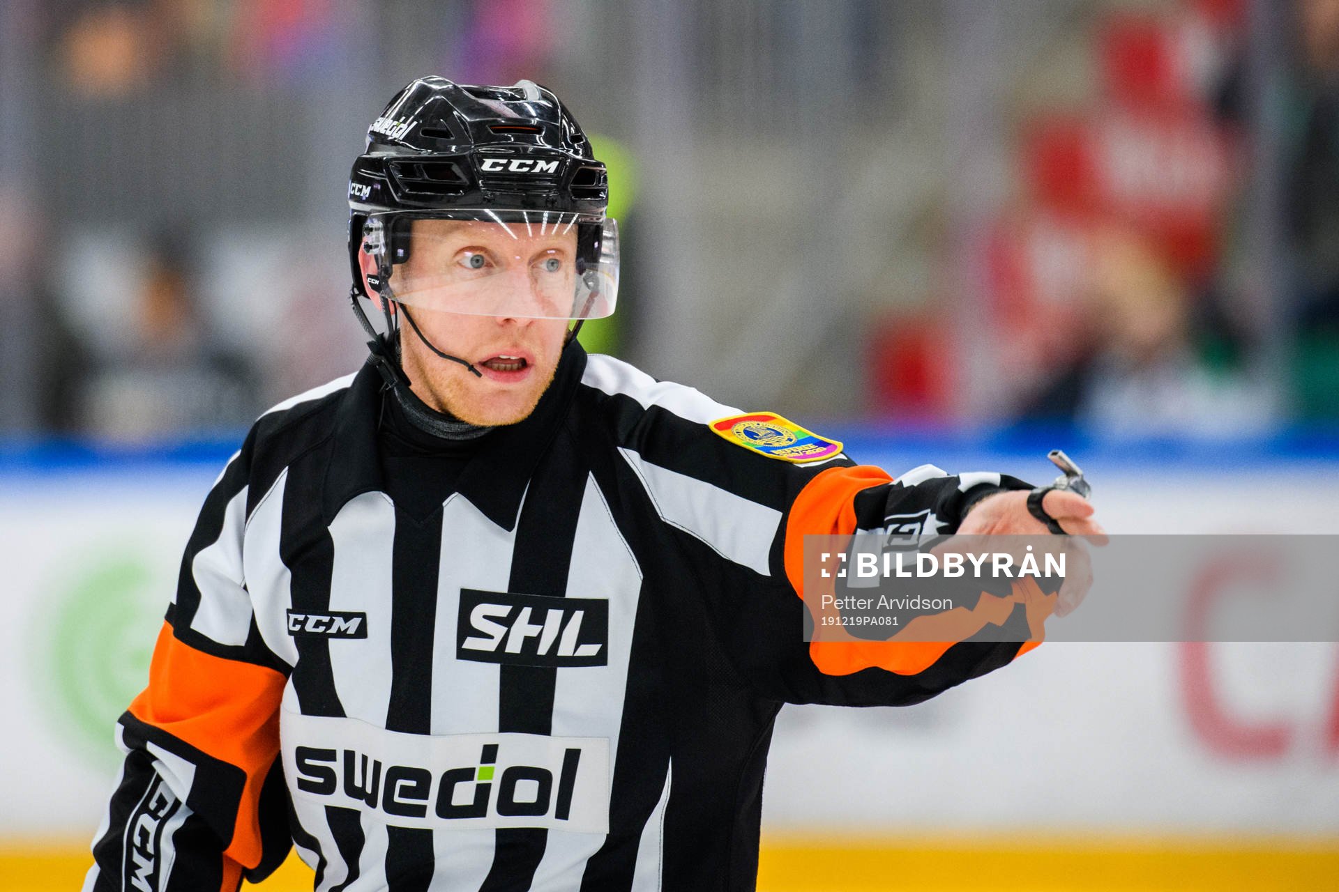Domare Mikael Holm