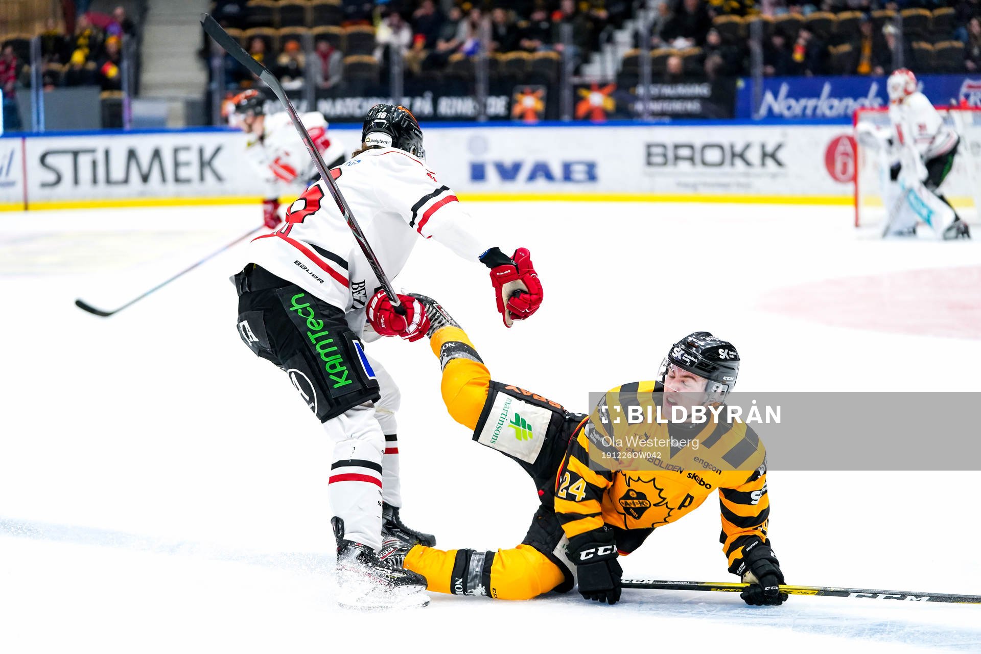 Skellefteås Andreas Wingerli