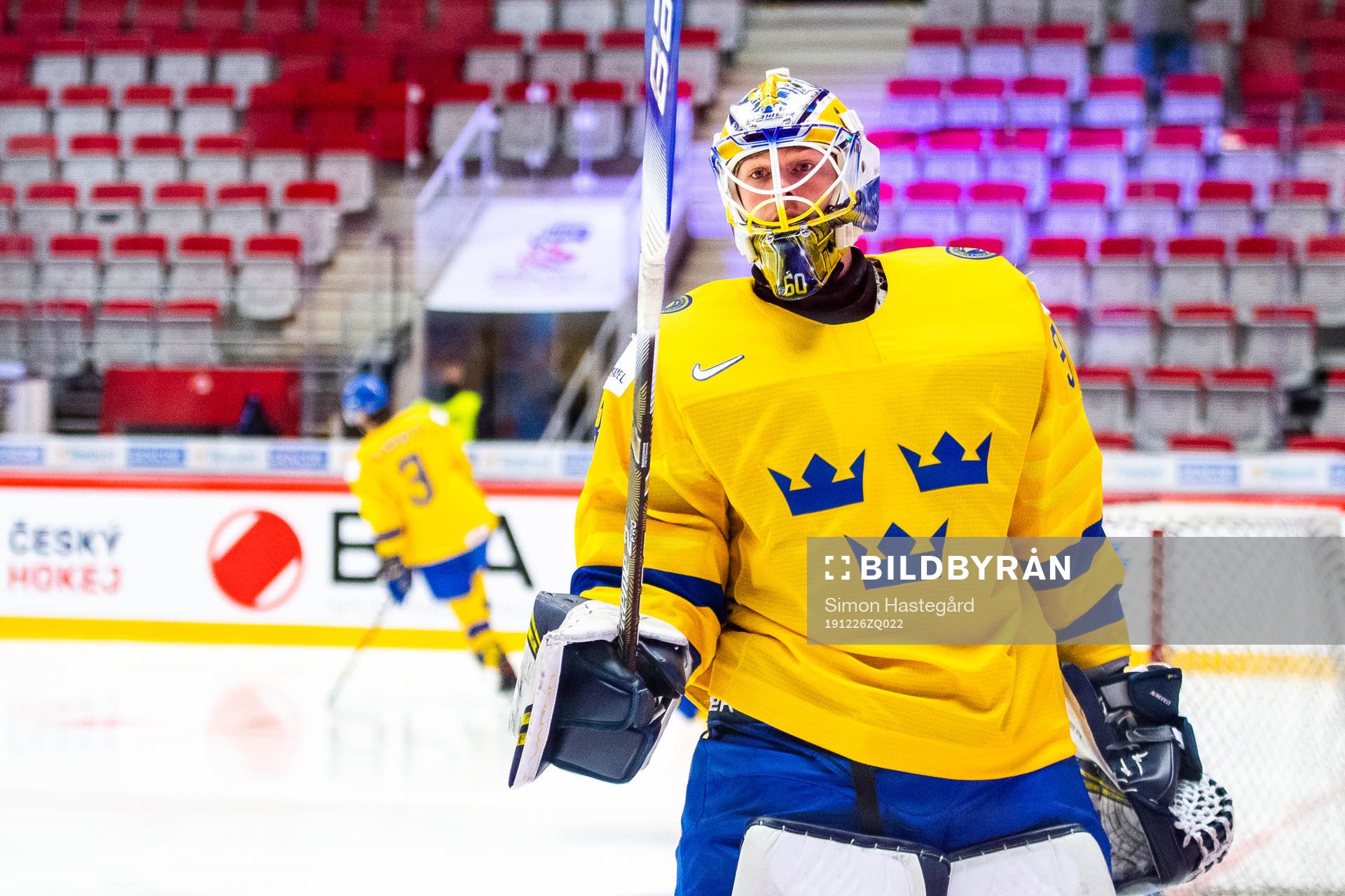 Goalkeeper Hugo Alnefelt  of Sweden