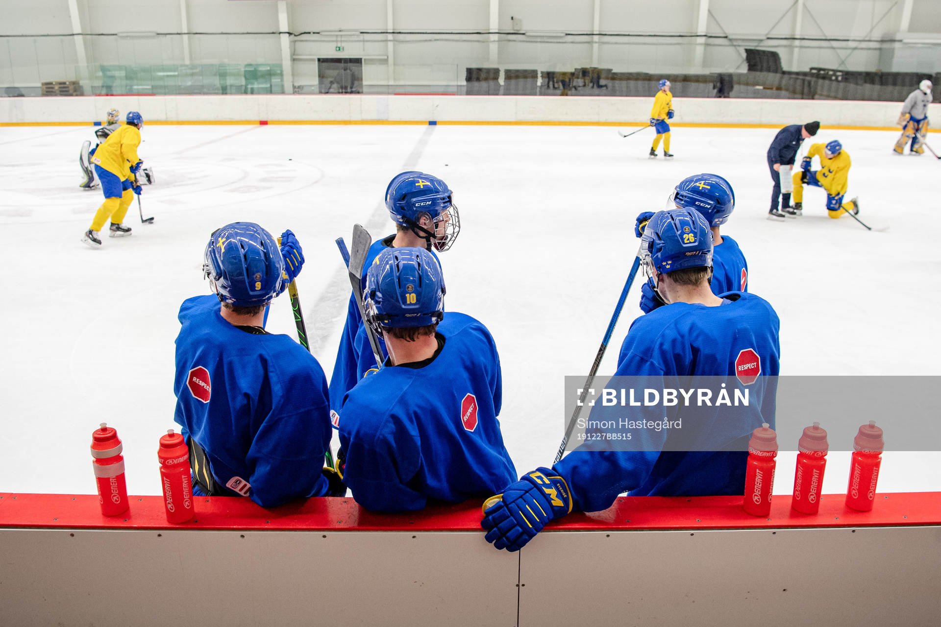 Players of Sweden