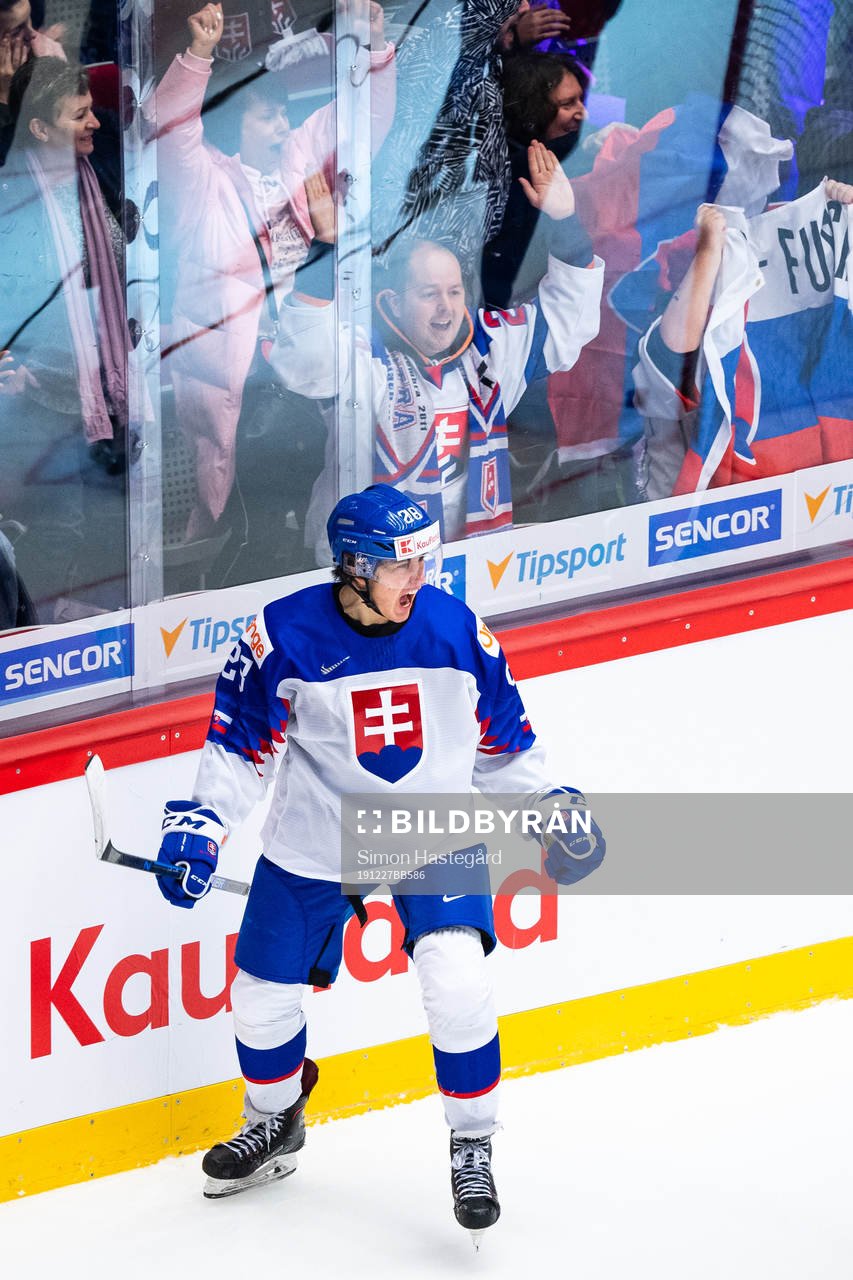 Daniel Vladimir Tkac of Slovakia celebrates the 2-1 goal