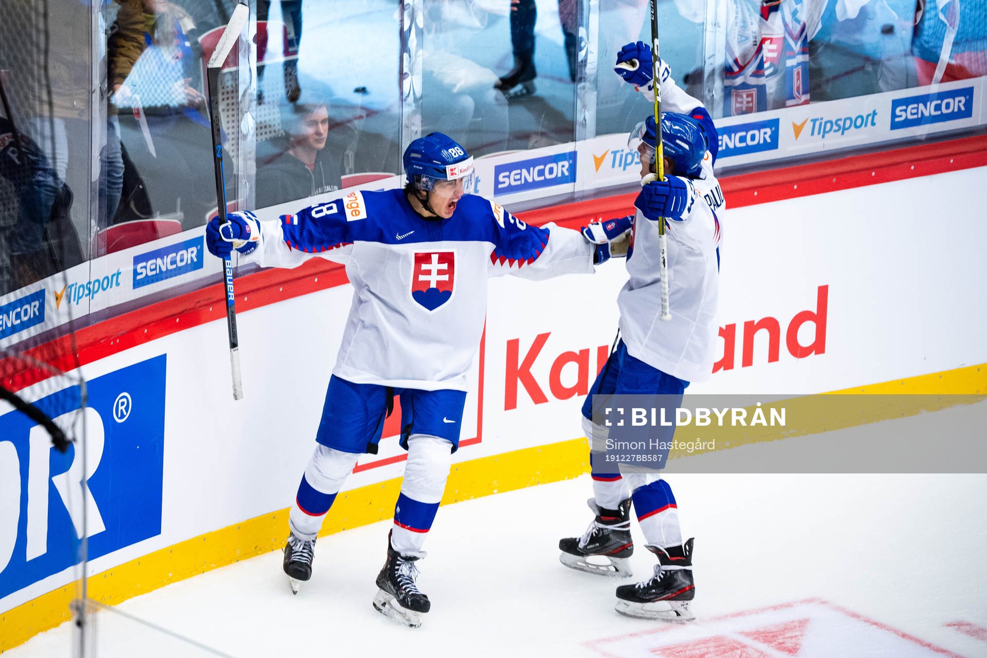 Daniel Vladimir Tkac of Slovakia celebrates the 2-1 goal