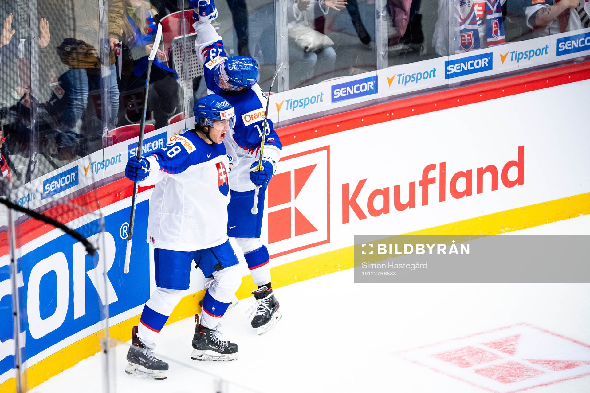 Daniel Vladimir Tkac of Slovakia celebrates the 2-1 goal