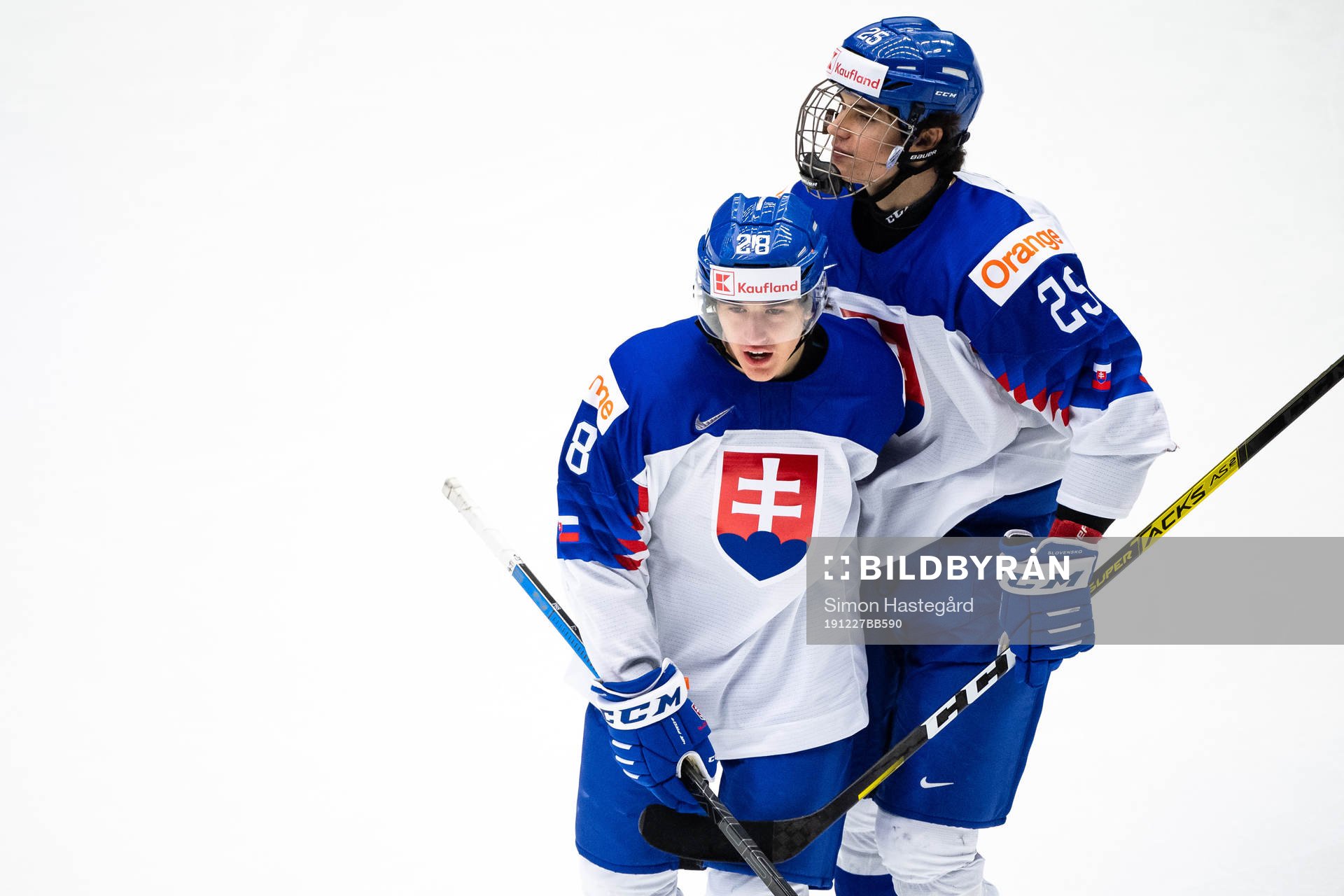 Daniel Vladimir Tkac and Michal Mrazik of Slovakia