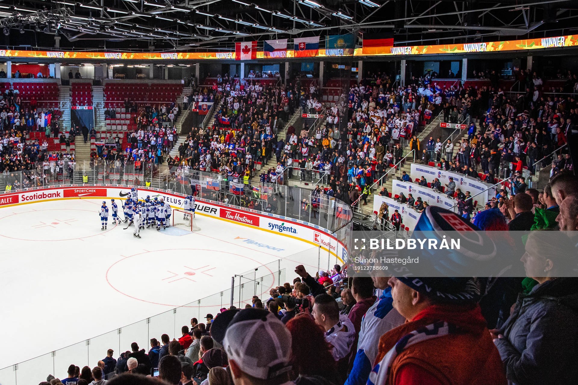 Players and fans of Slovakia celebrate