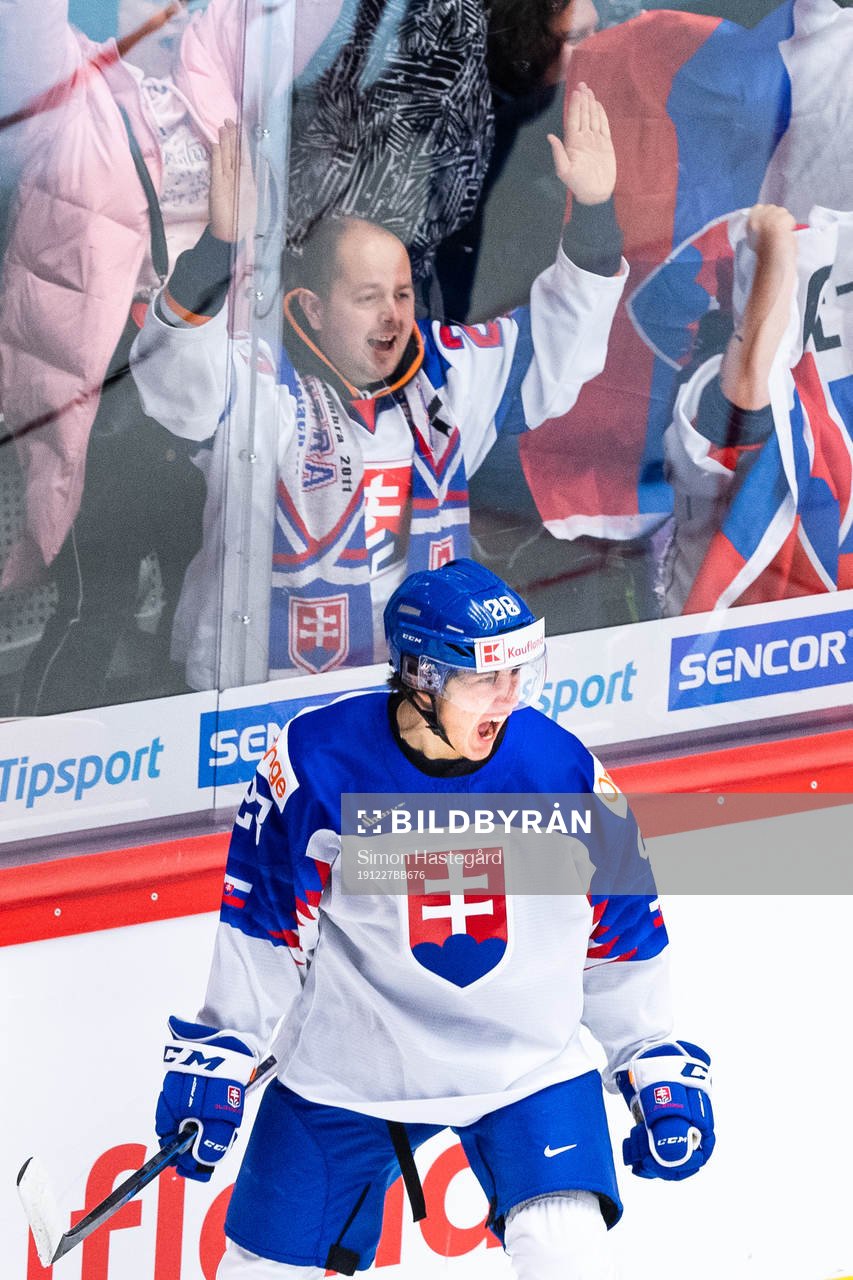 Daniel Vladimir Tkac of Slovakia celebrates the 2-1 goal