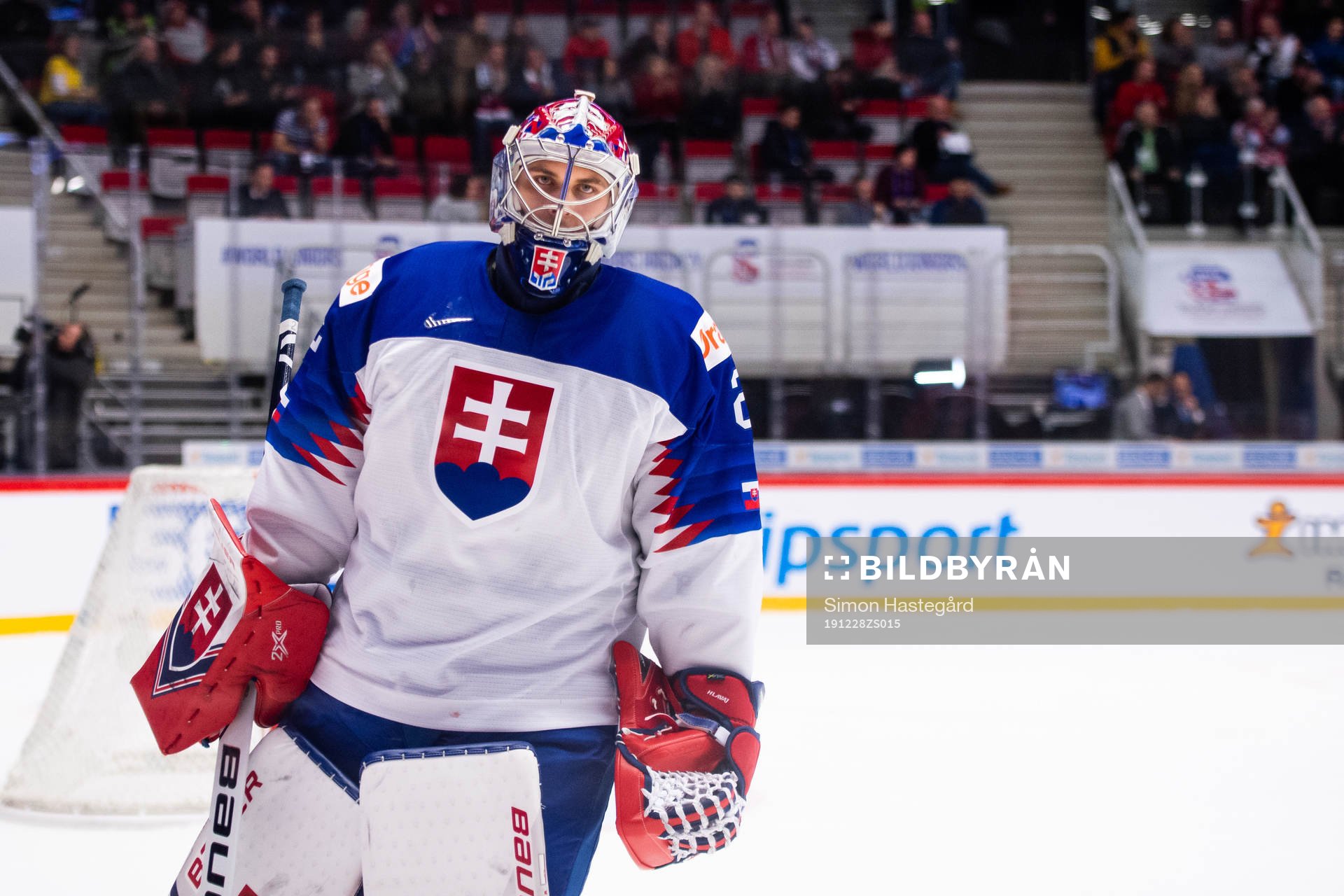 Goalkeeper Samuel Hlavaj of Slovakia
