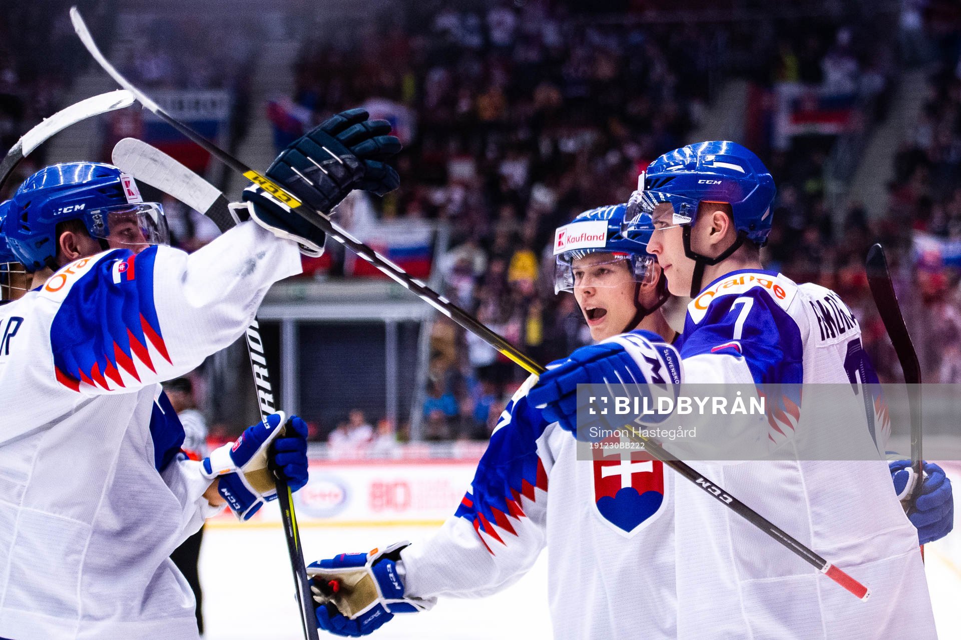 Martin Fasko-Rudas of Slovakia celebrates the 1-4 goal