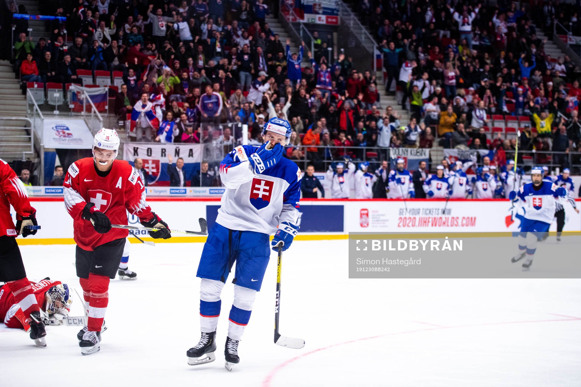 Martin Fasko-Rudas of Slovakia celebrates the 1-4 goal