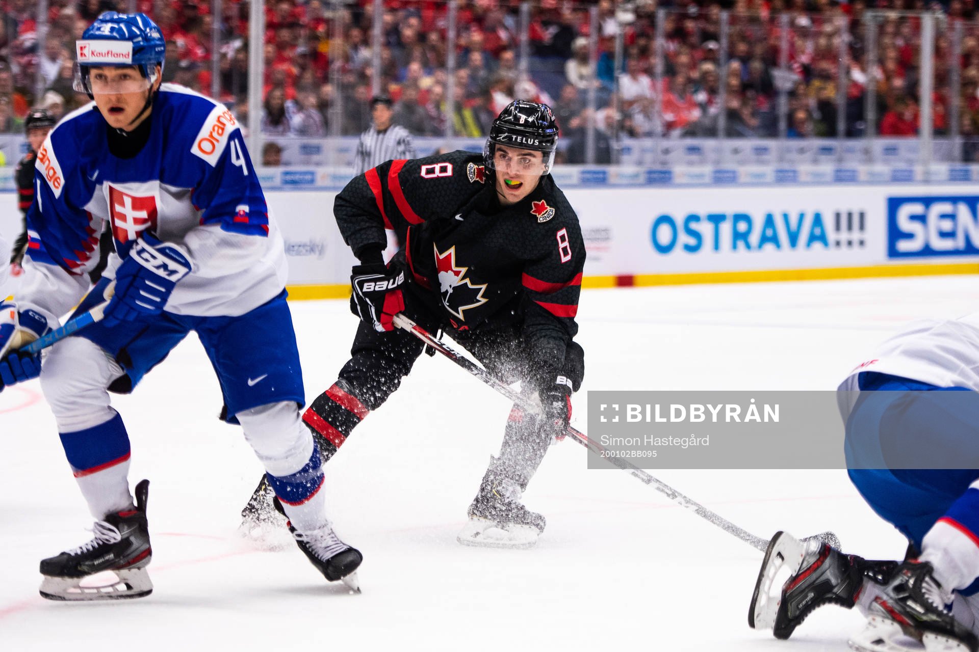 Liam Foudy of Canada
