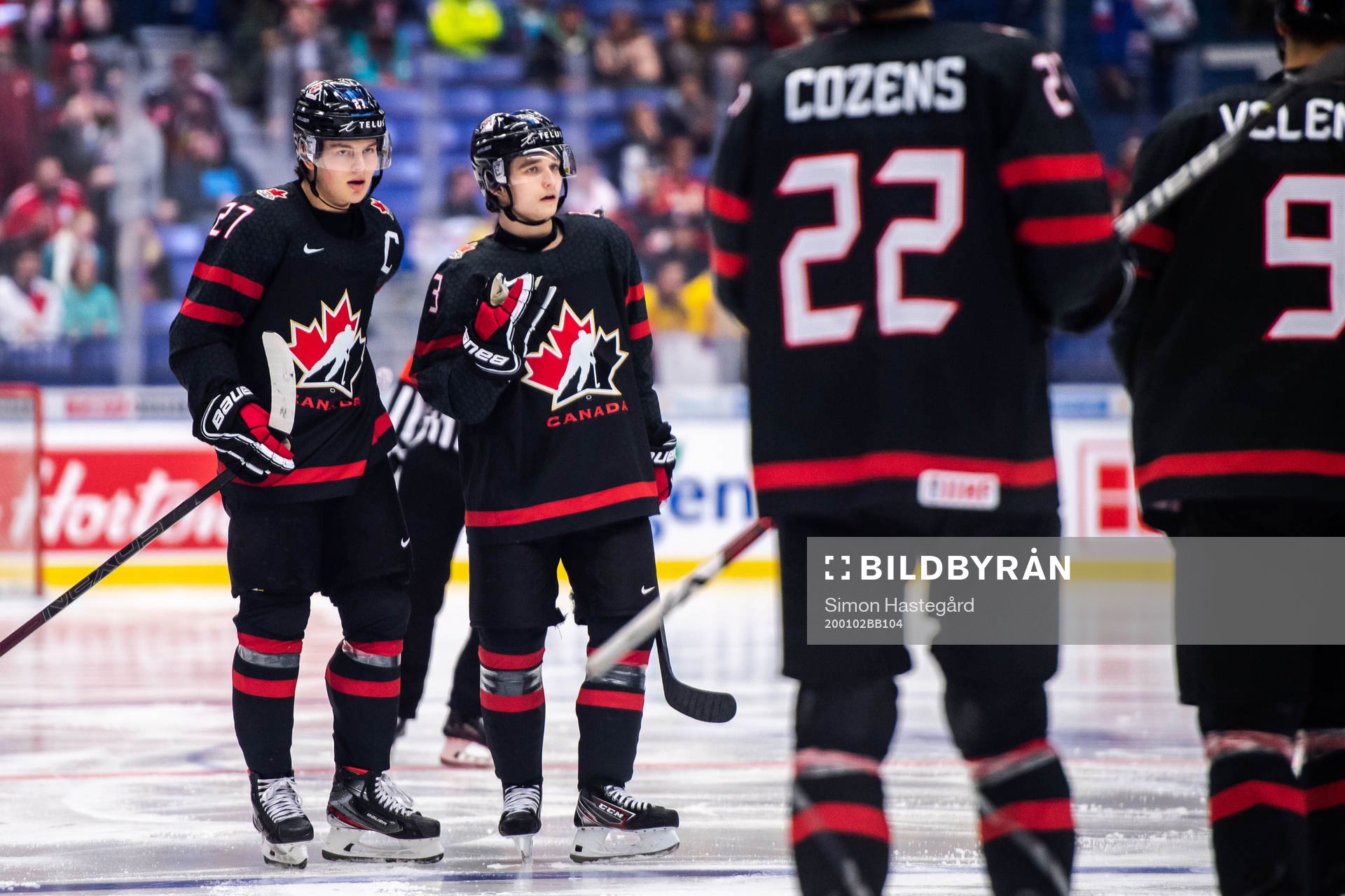 Barrett Hayton celebrate with Calen Addison