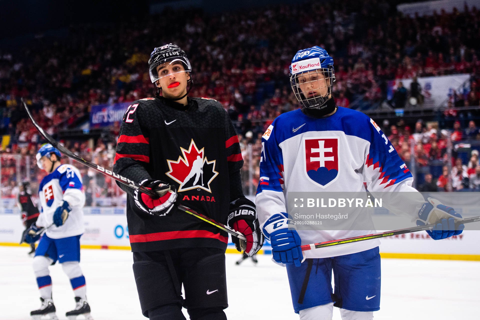 Dylan Cozens of Canada and Samuel Knazko of Slovakia