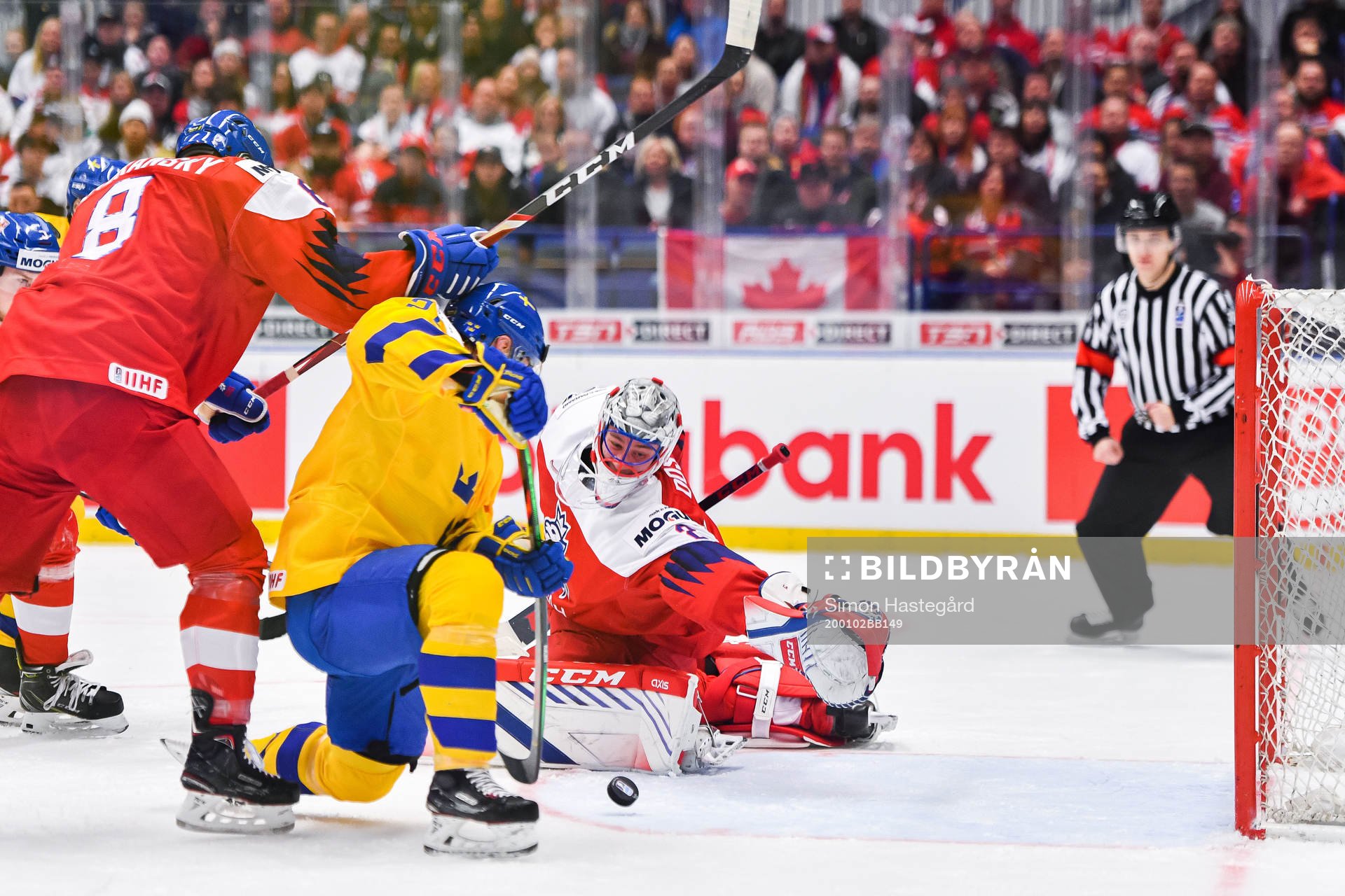 Nils Höglander of Sweden score 1-0 behind goalkeeper Lukas