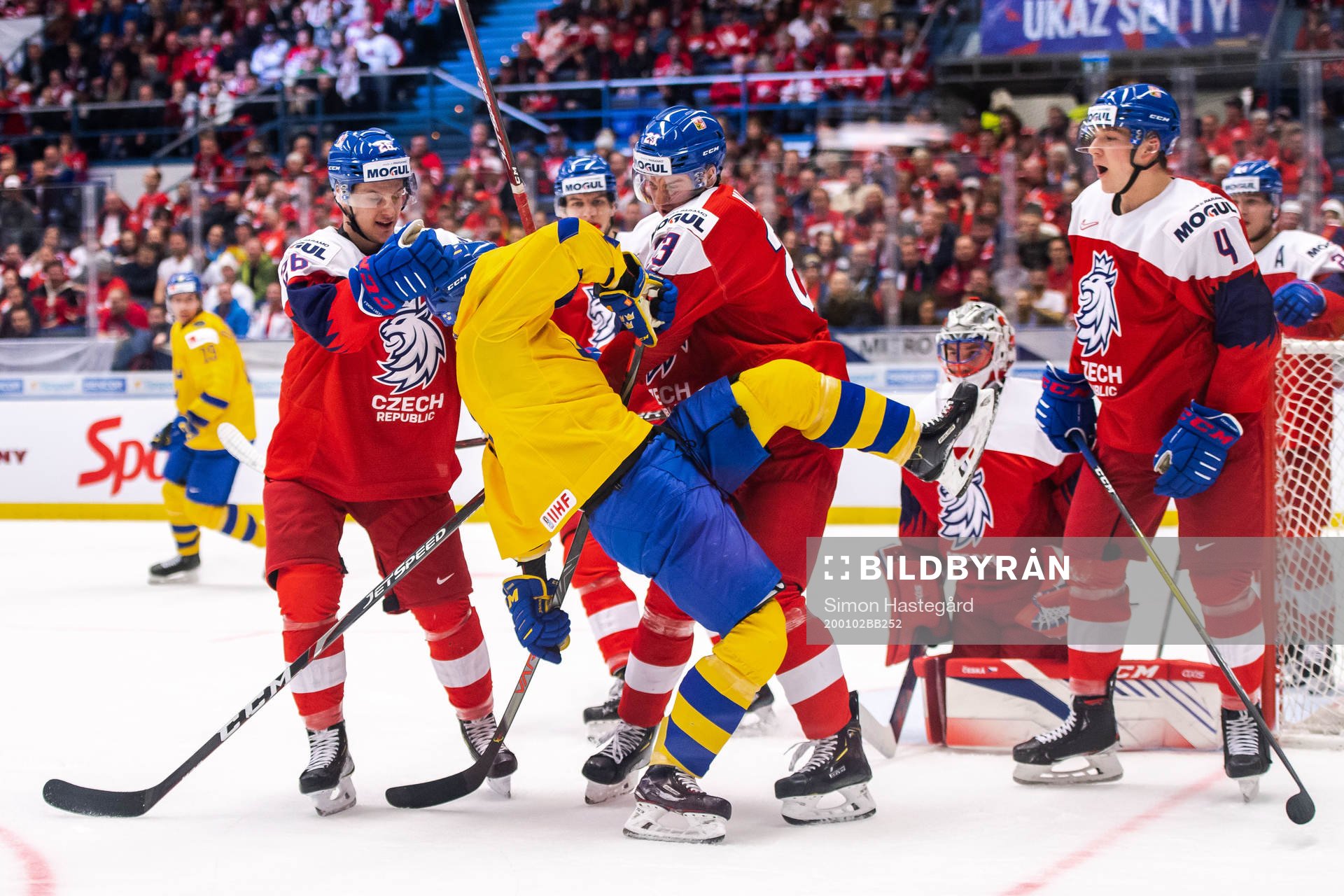 Players of Czech Republic in a fight with Nils Höglander