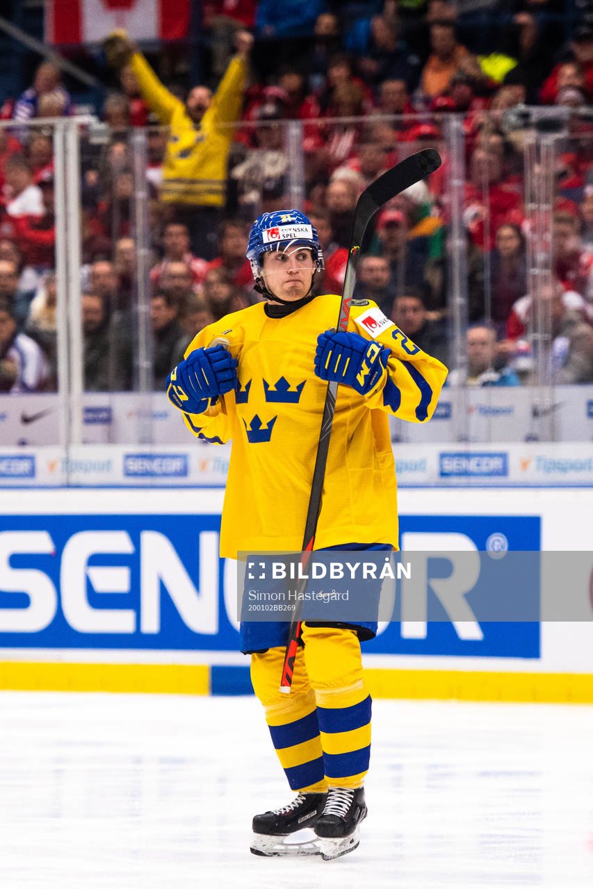 Nils Höglander of Sweden celebrates the 3-0 goal