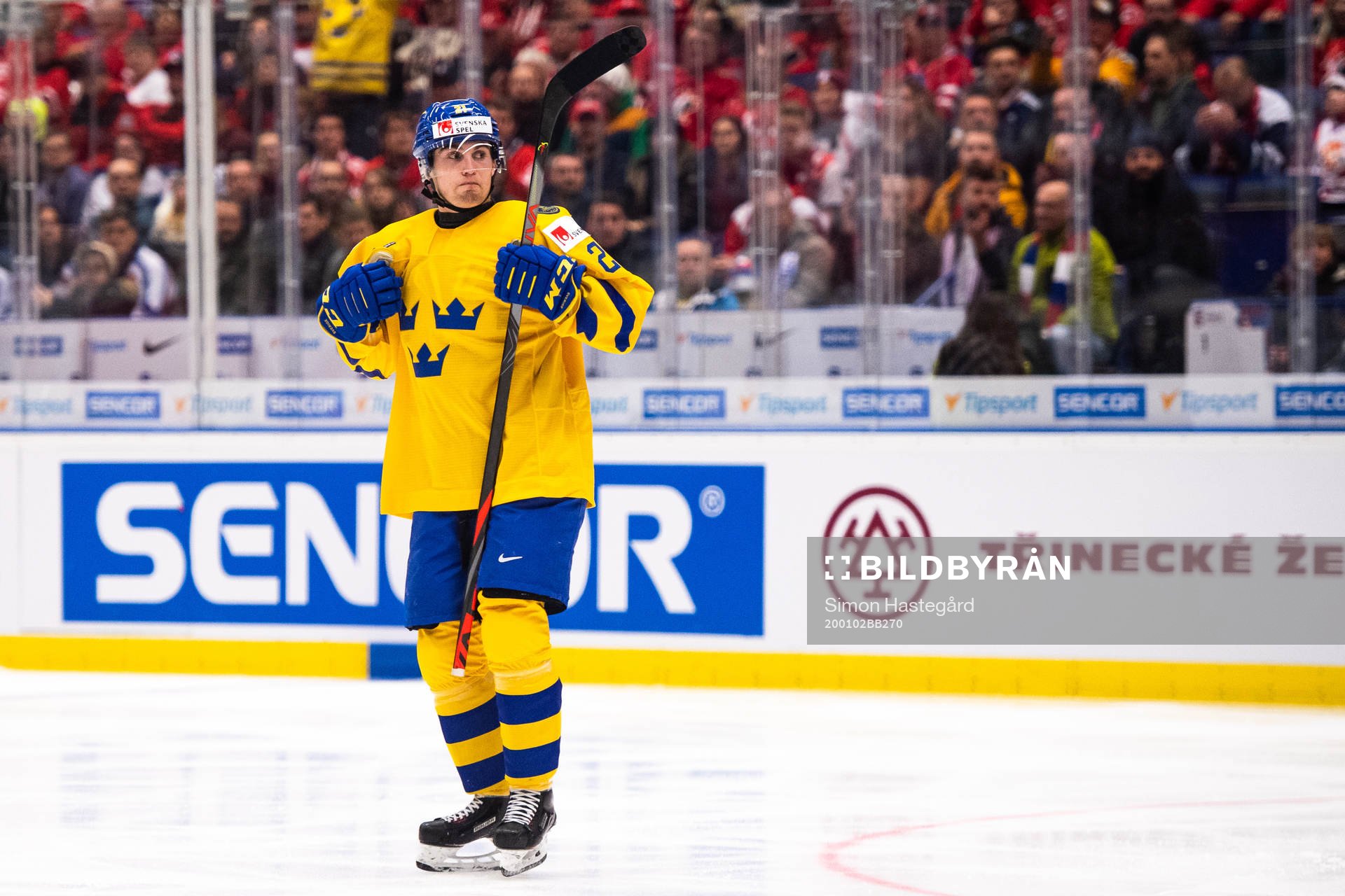 Nils Höglander of Sweden celebrates the 3-0 goal