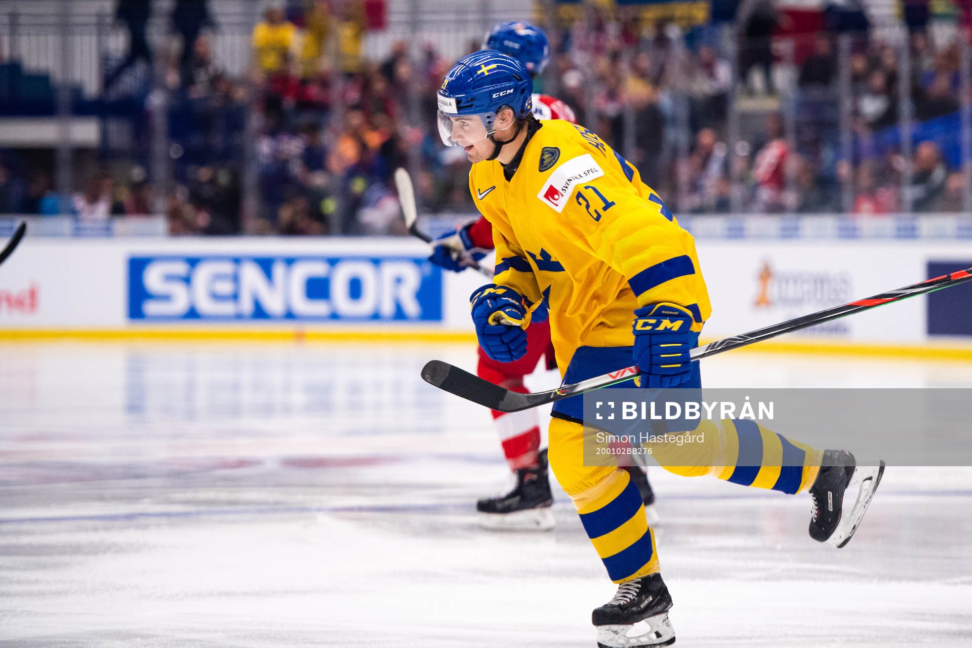 Nils Höglander of Sweden celebrates the 3-0 goal