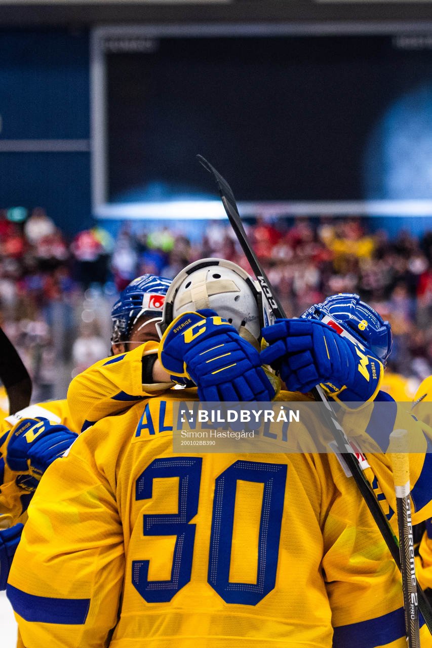 Goalkeeper Hugo Alnefelt of Sweden celebrates