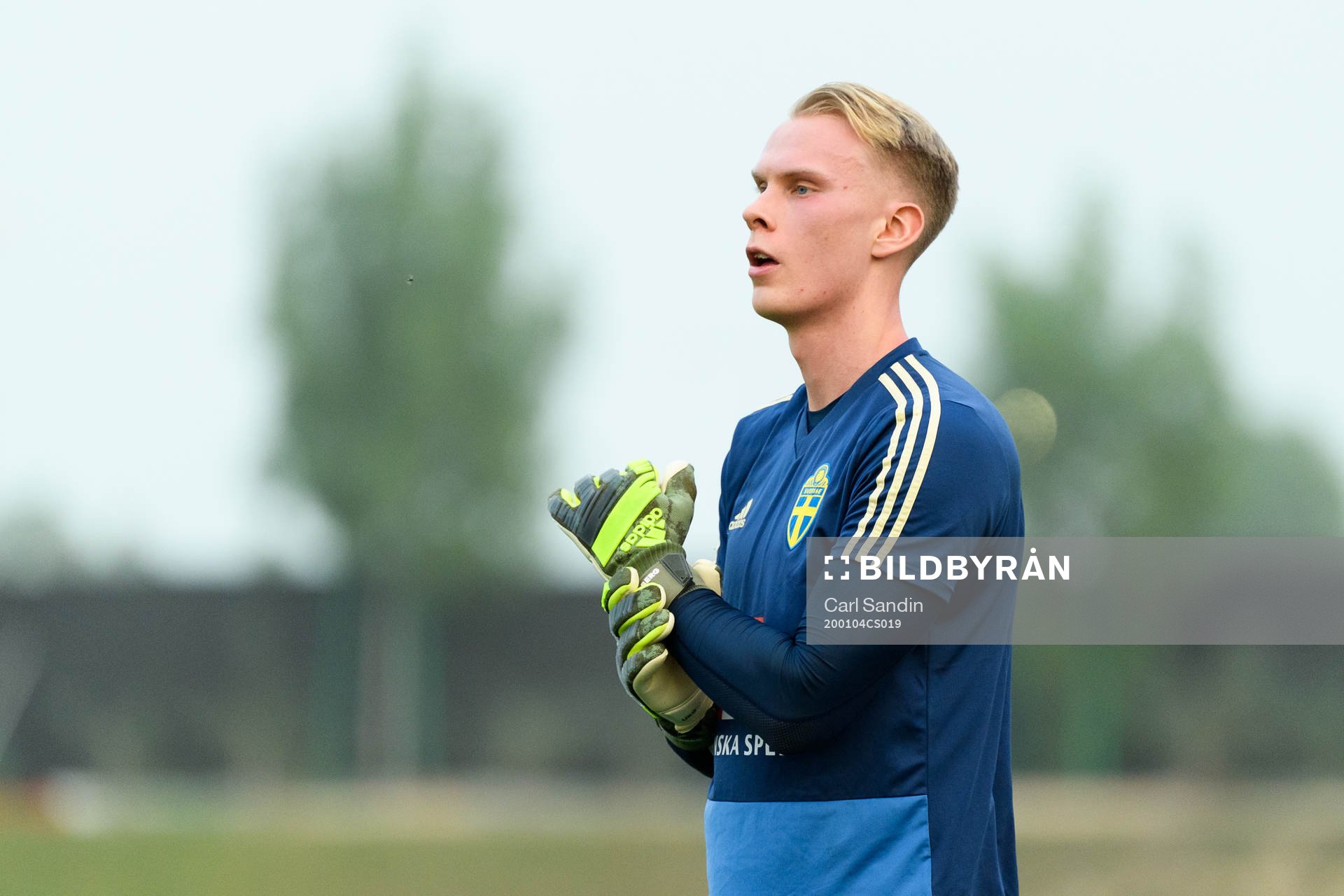 Goalkeeper Pontus Dahlberg