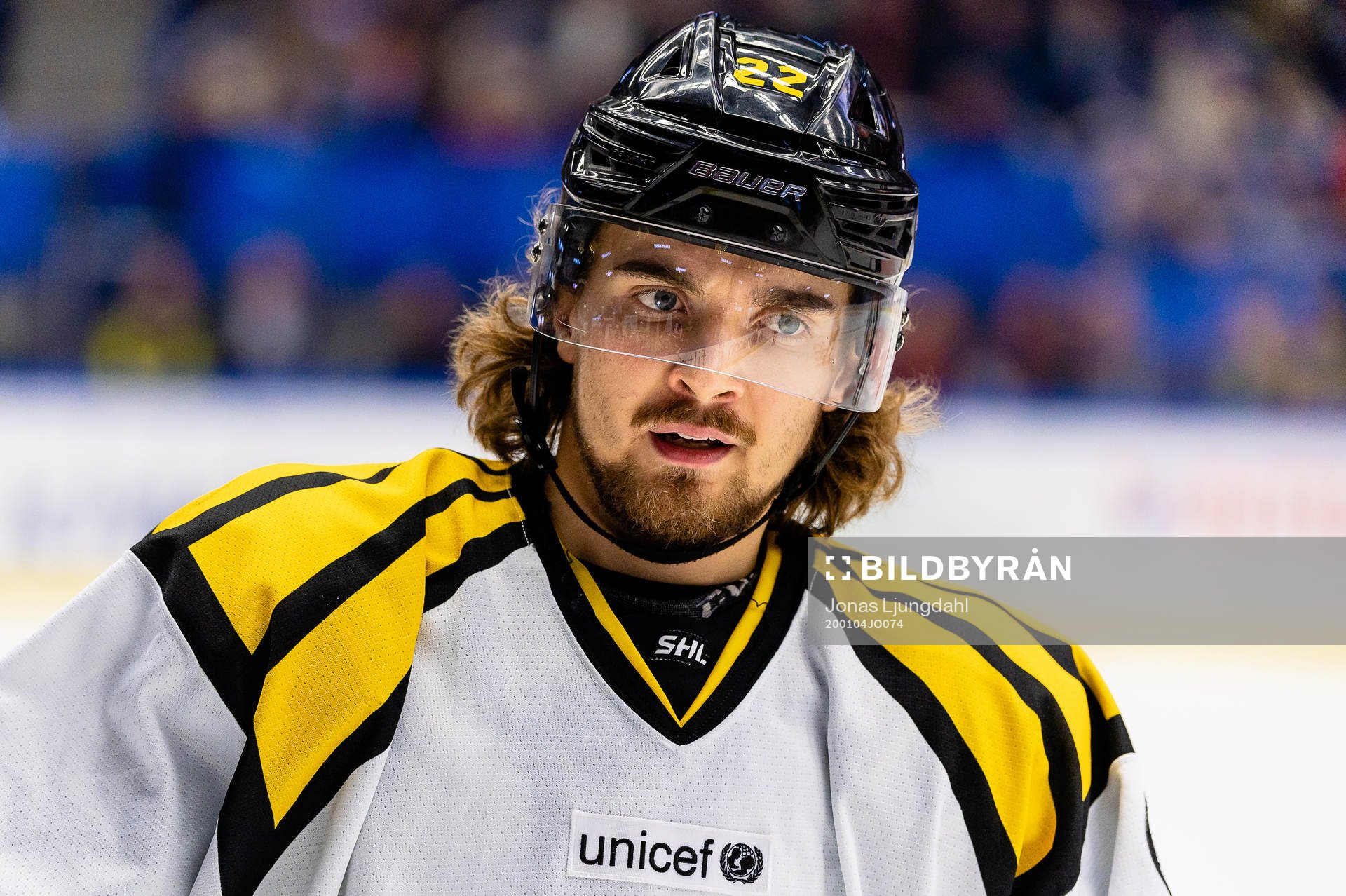Brynäs Adam Brodecki