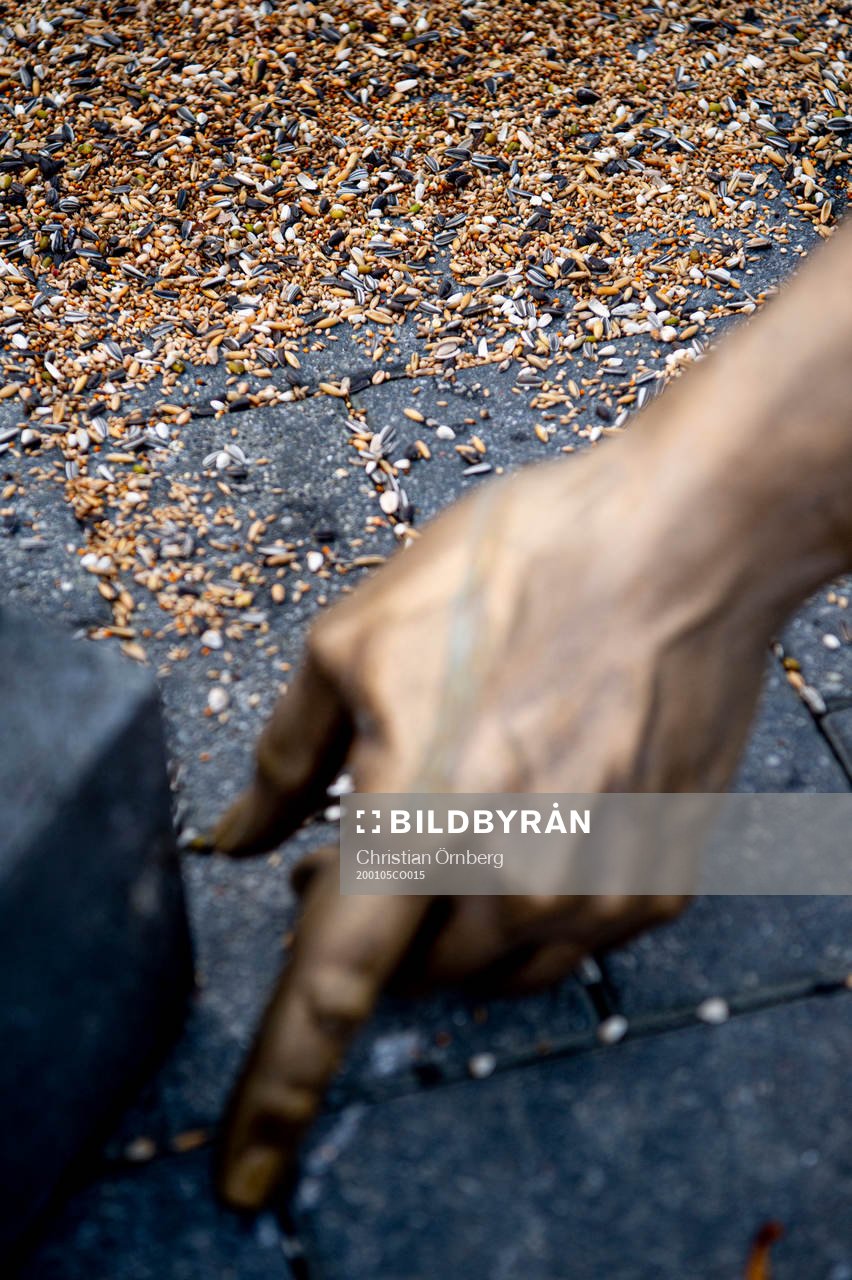 The statue of Zlatan Ibrahimovic has been vandalized,
