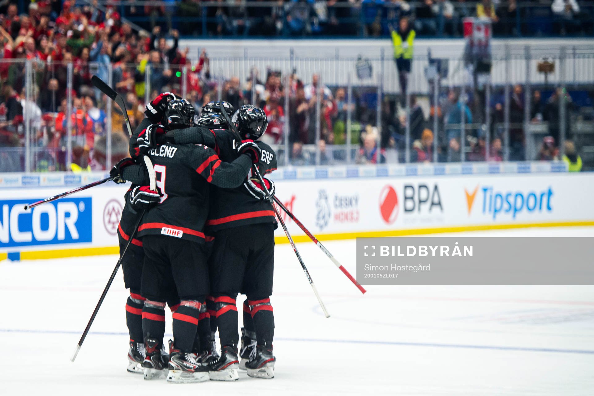 Barrett Hayton of Canada celebrate with teammates