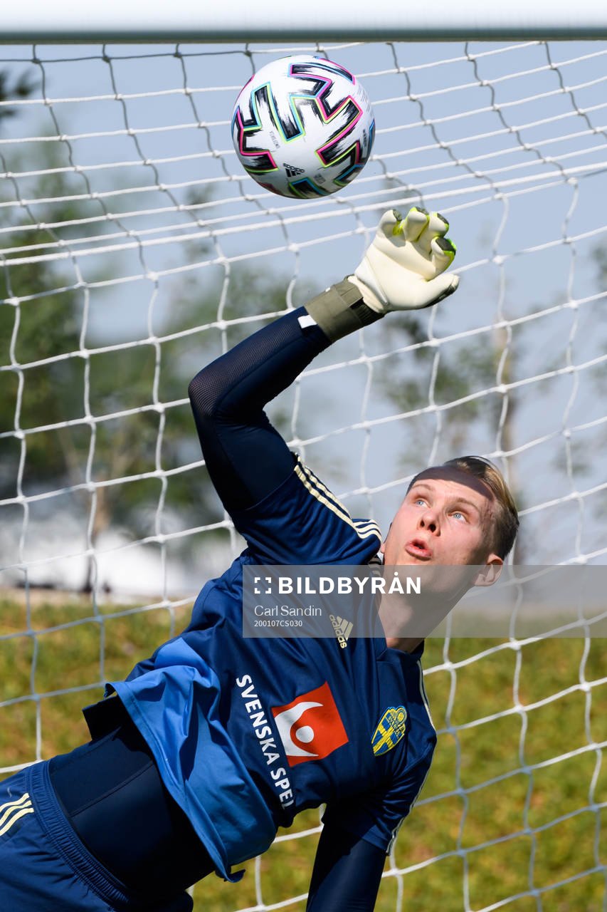 Goalkeeper Pontus Dahlberg