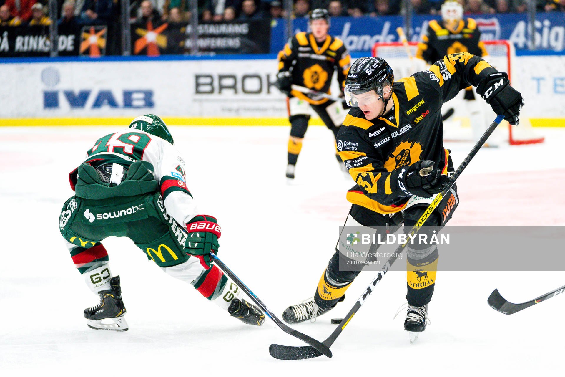Skellefteås Albin Eriksson