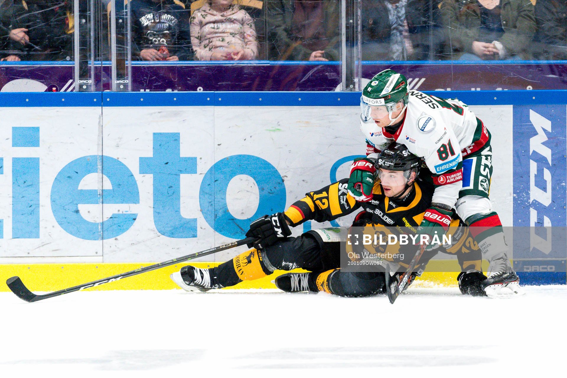 Skellefteås Adam Pettersson