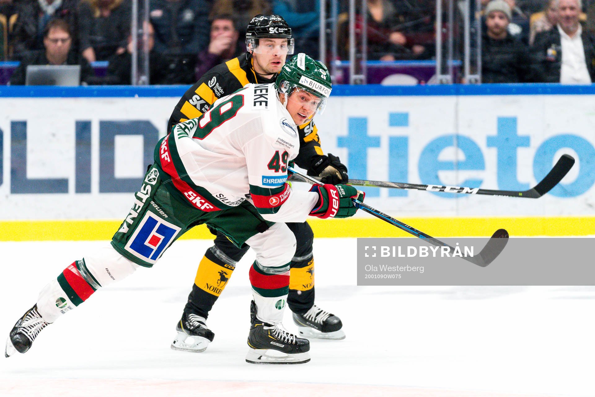 Skellefteås Adam Pettersson