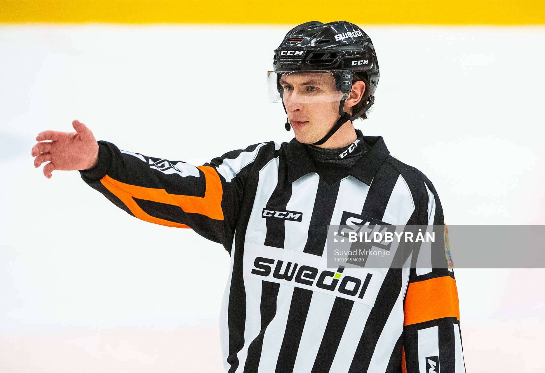 Domare Ulf Rönnmark