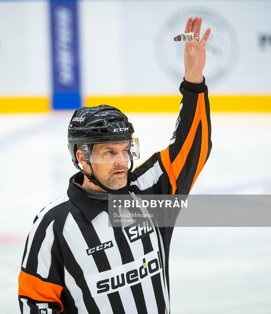 Domare Mikael Nord