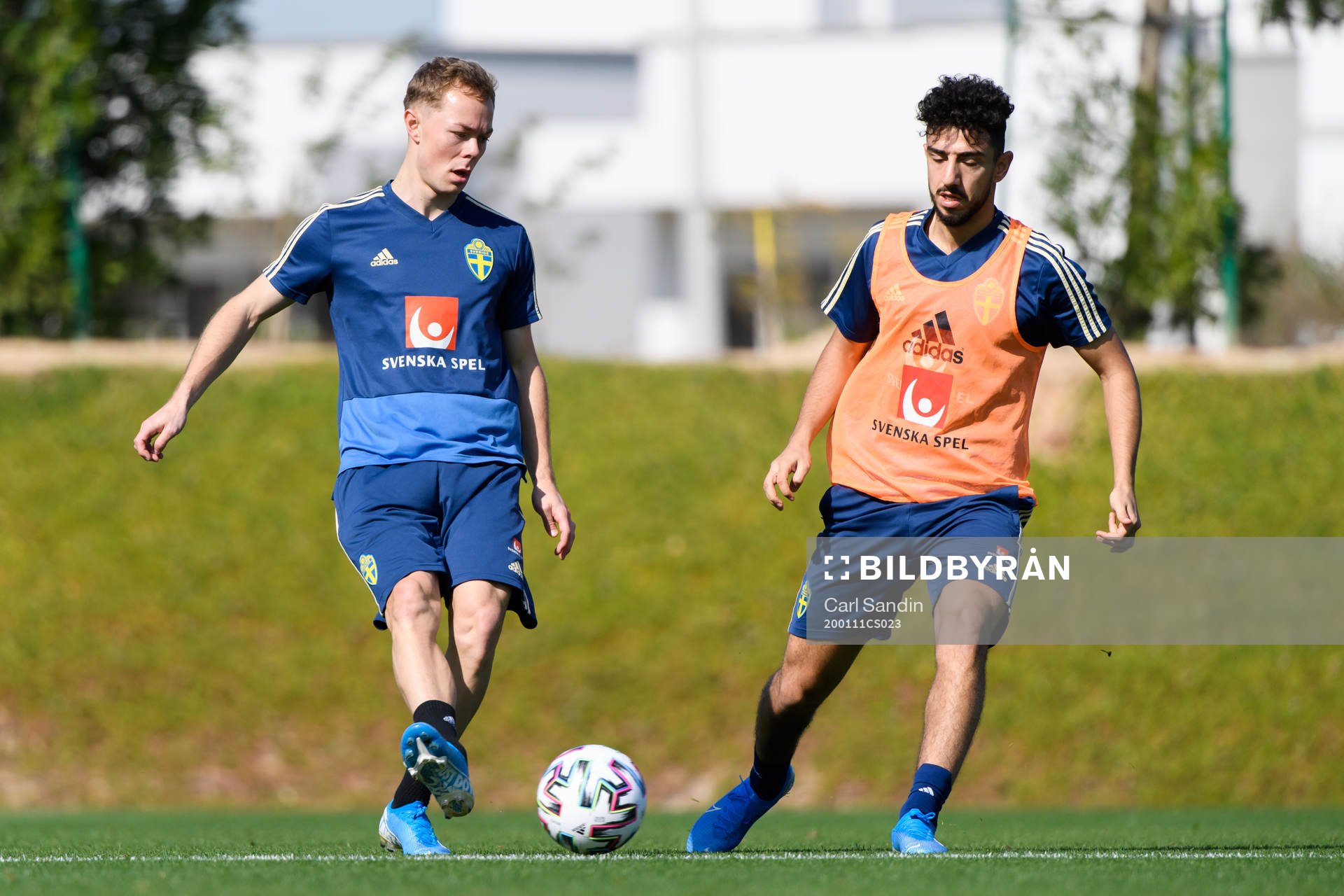 Adam Andersson and Daleho Irandust