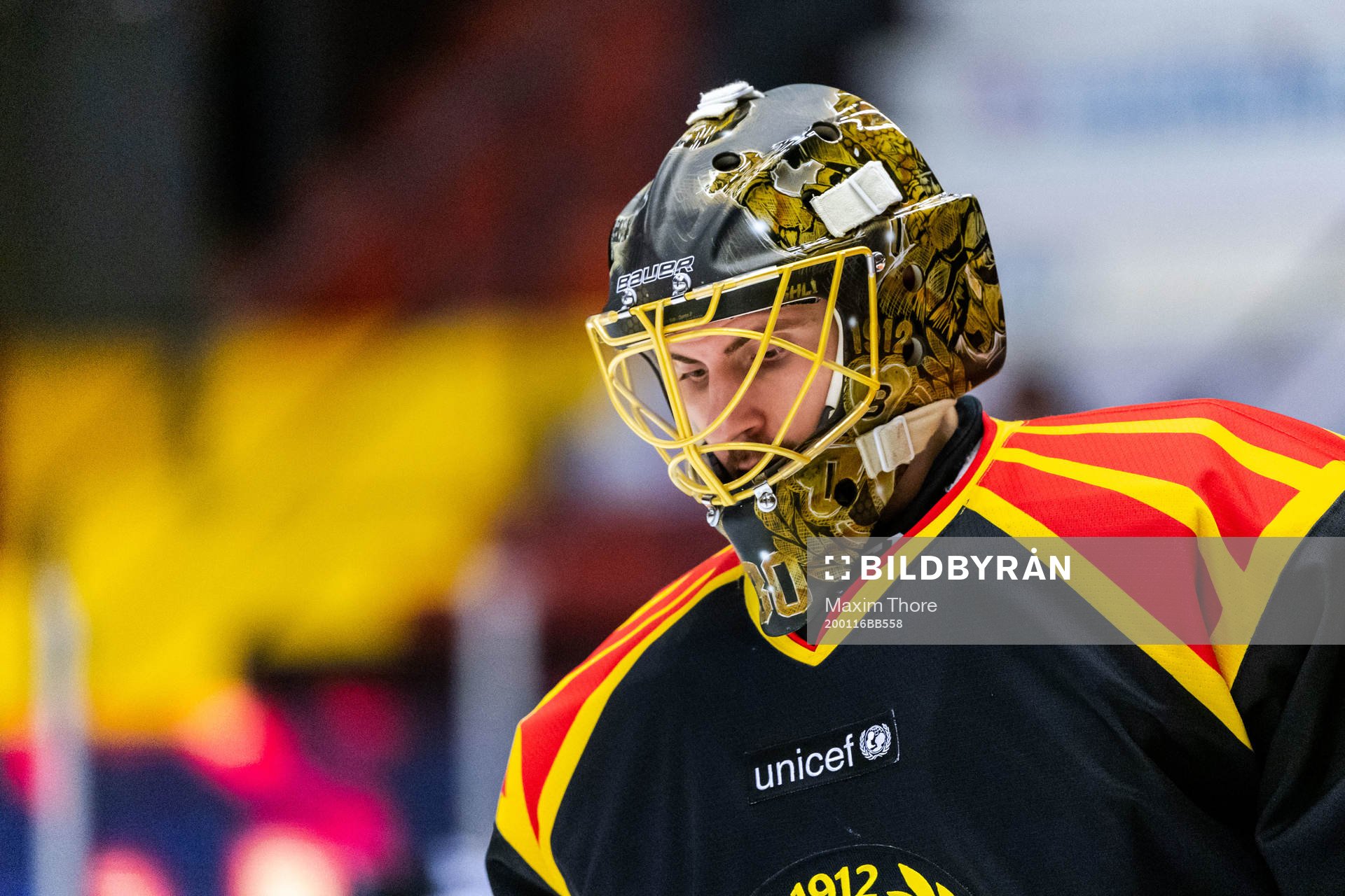 Brynäs målvakt Joacim Eriksson