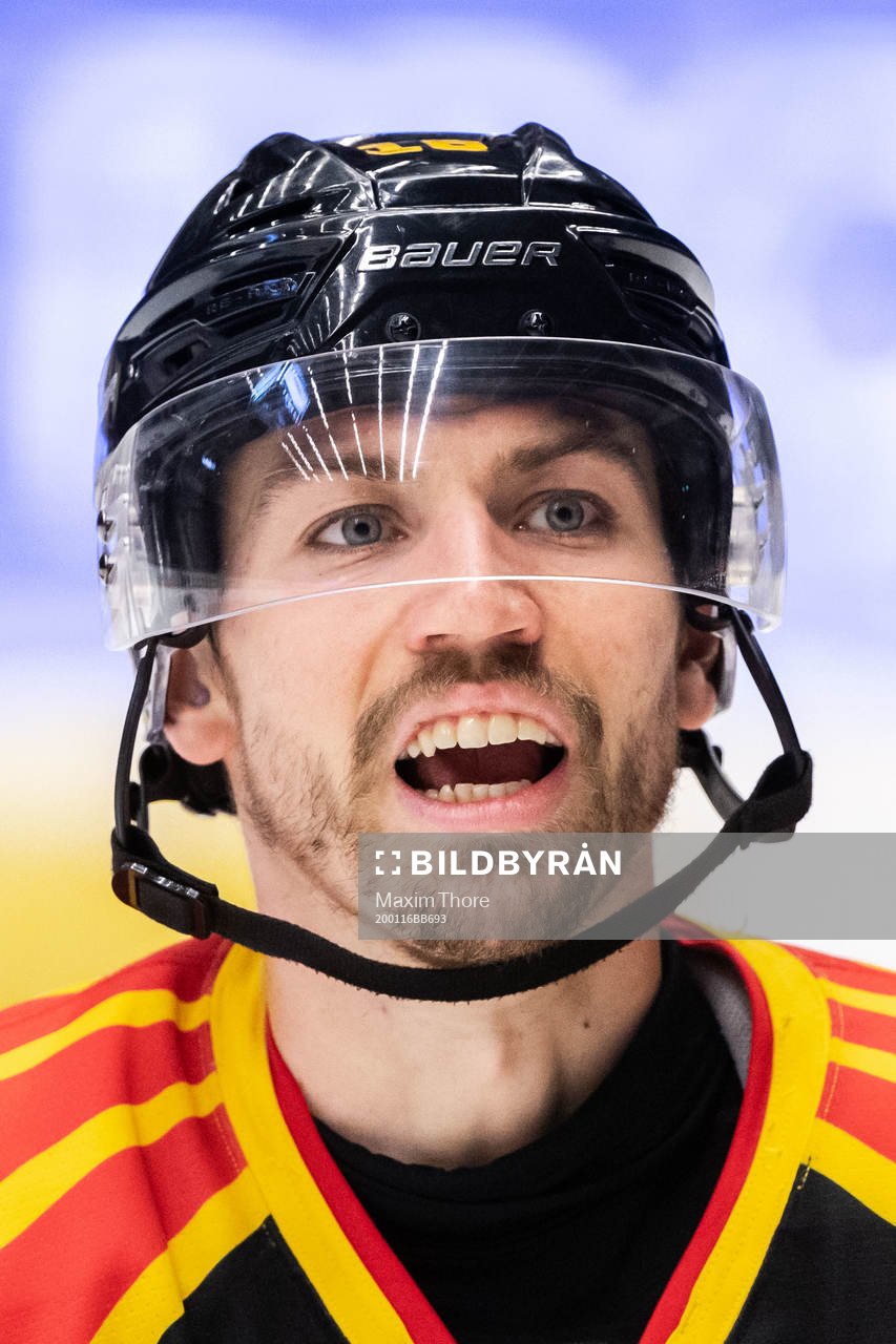 Brynäs Anton Rödin