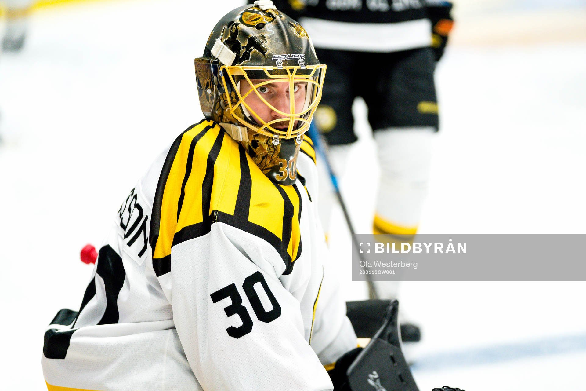 Brynäs målvakt Joacim Eriksson